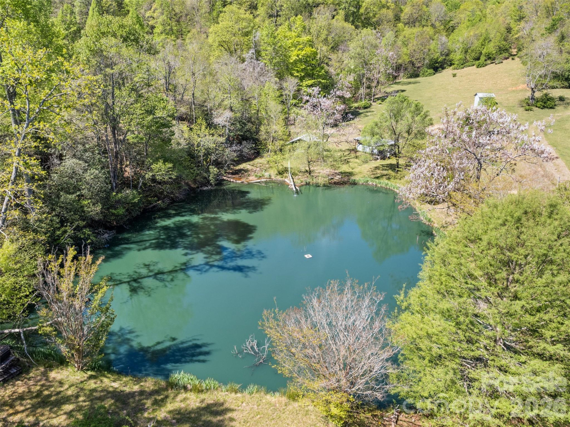 1372 Sand Branch Road - Photo 9