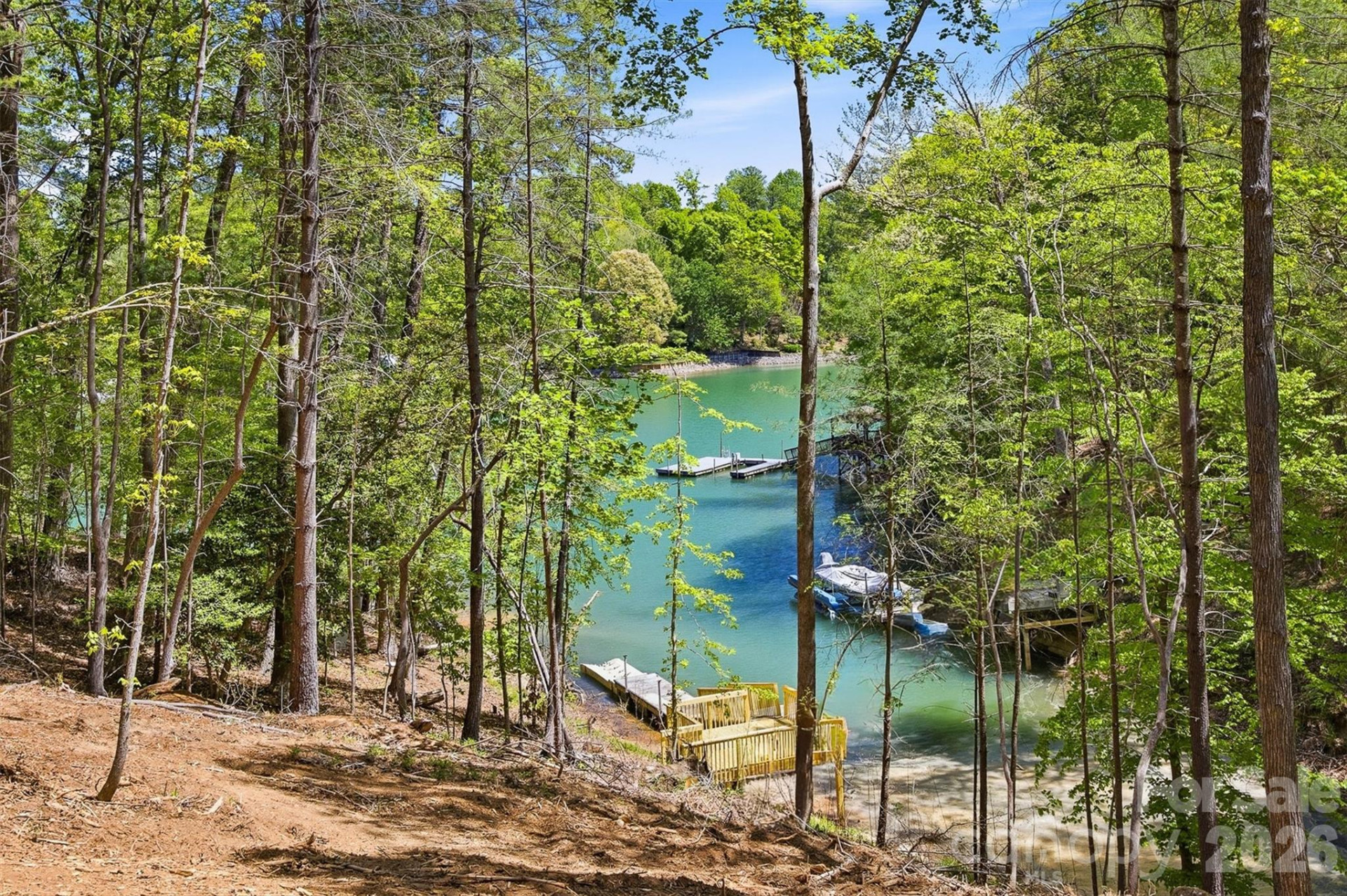 4981 Camellia Drive #228 - Photo 12