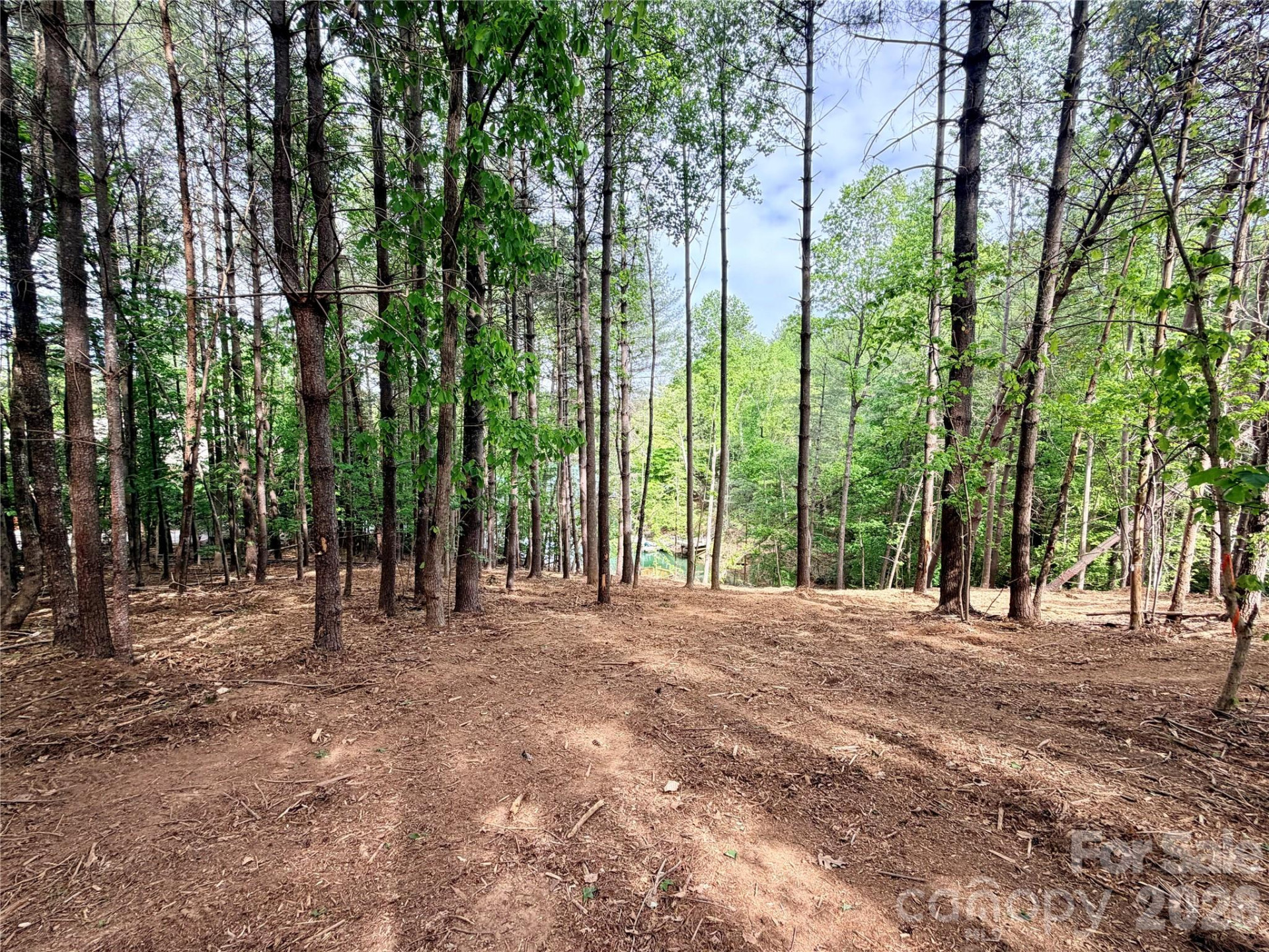 4981 Camellia Drive #228 - Photo 14