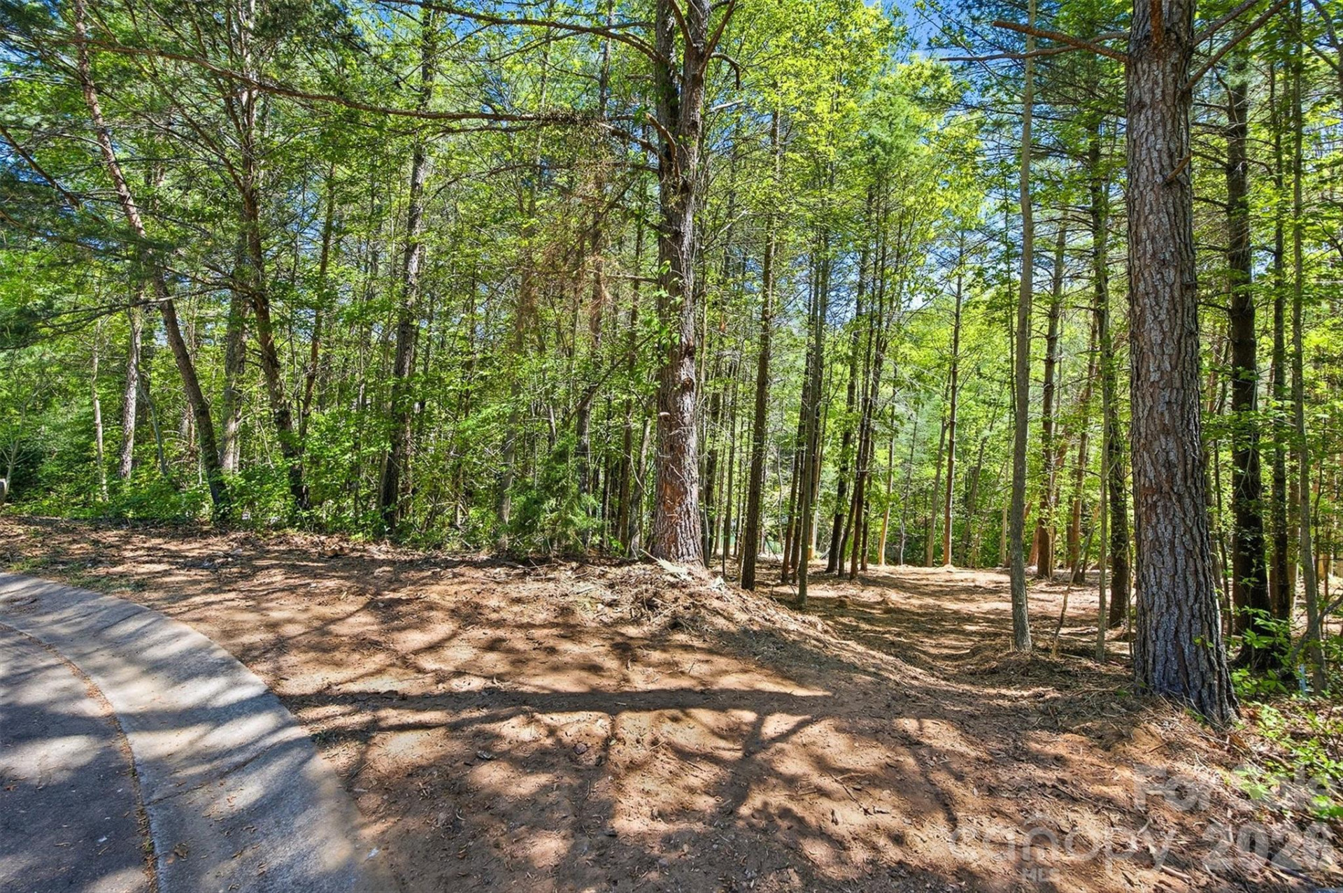 4981 Camellia Drive #228 - Photo 19