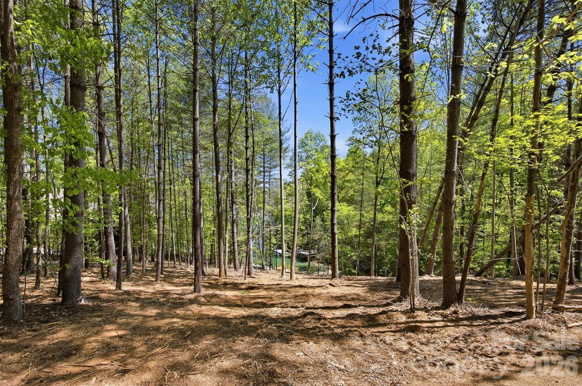 4981 Camellia Drive #228 - Photo 20