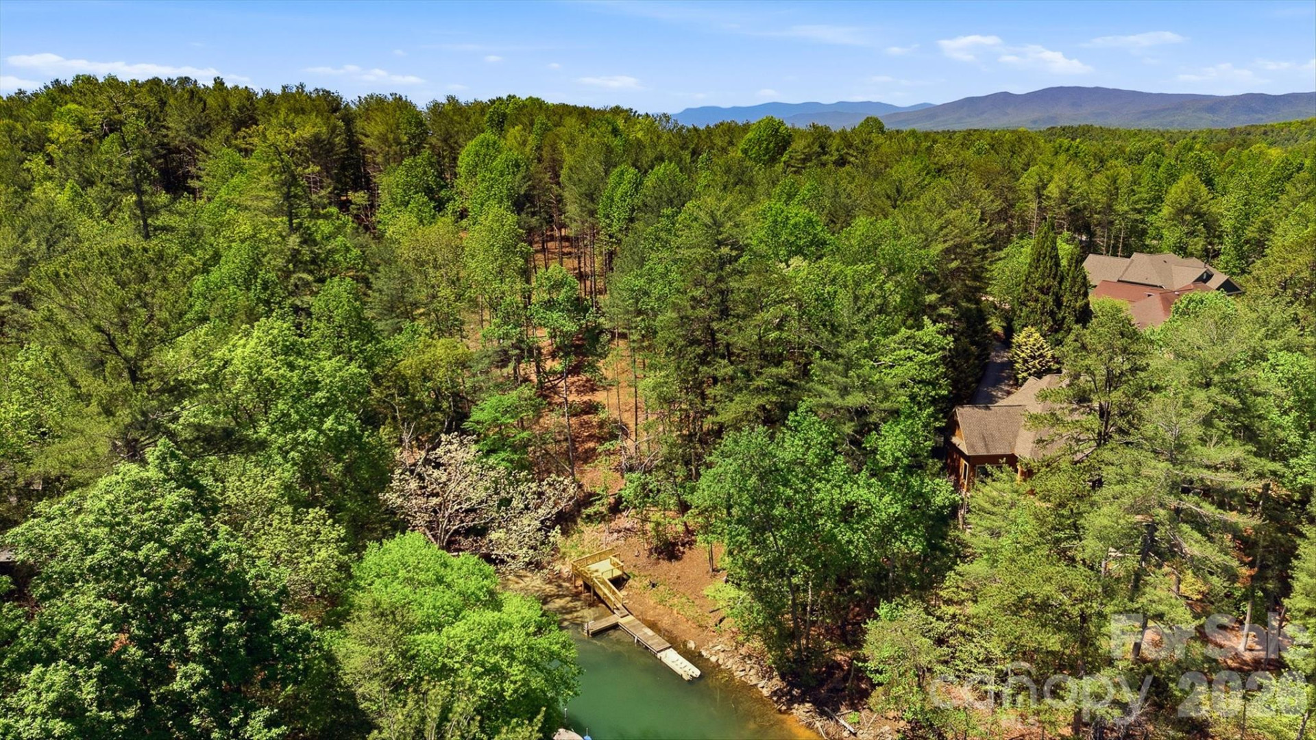 4981 Camellia Drive #228 - Photo 3