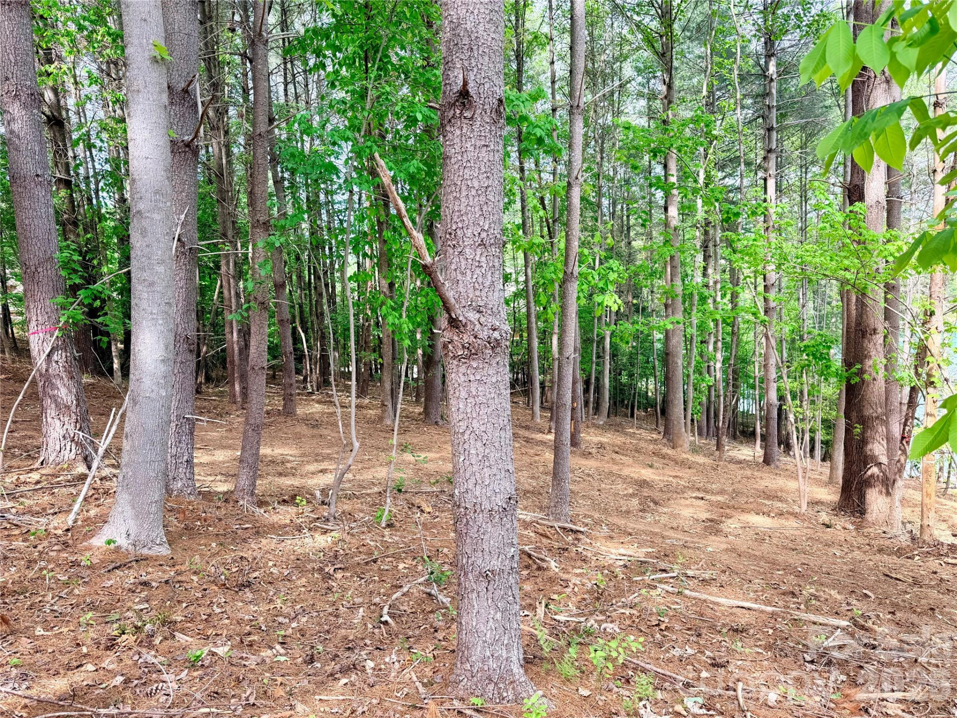 4981 Camellia Drive #228 - Photo 21