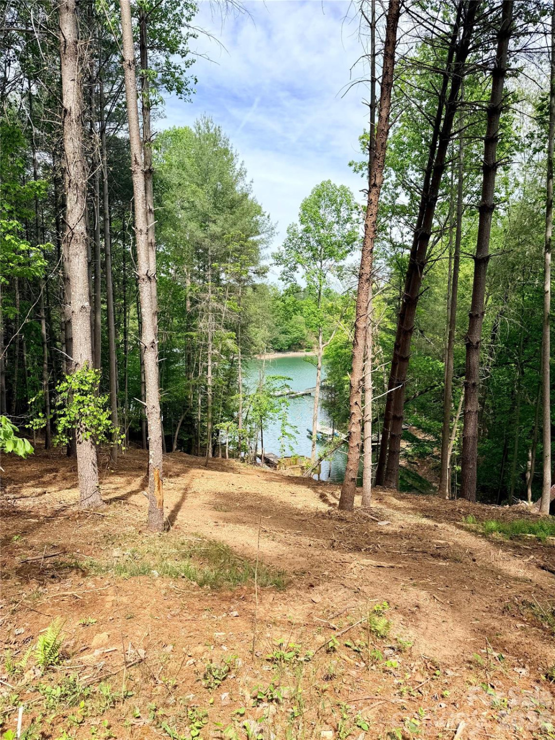 4981 Camellia Drive #228 - Photo 23