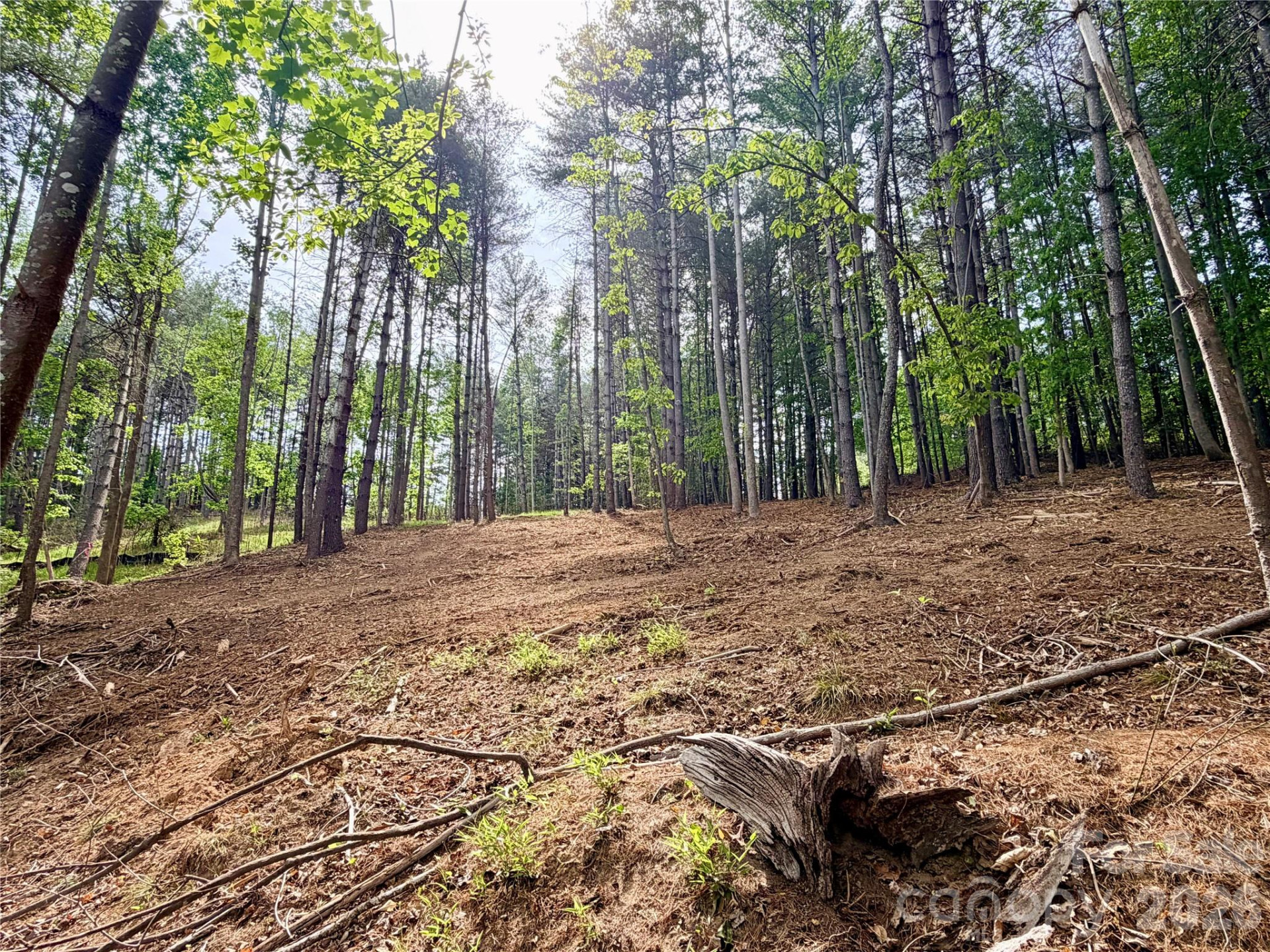 4981 Camellia Drive #228 - Photo 26