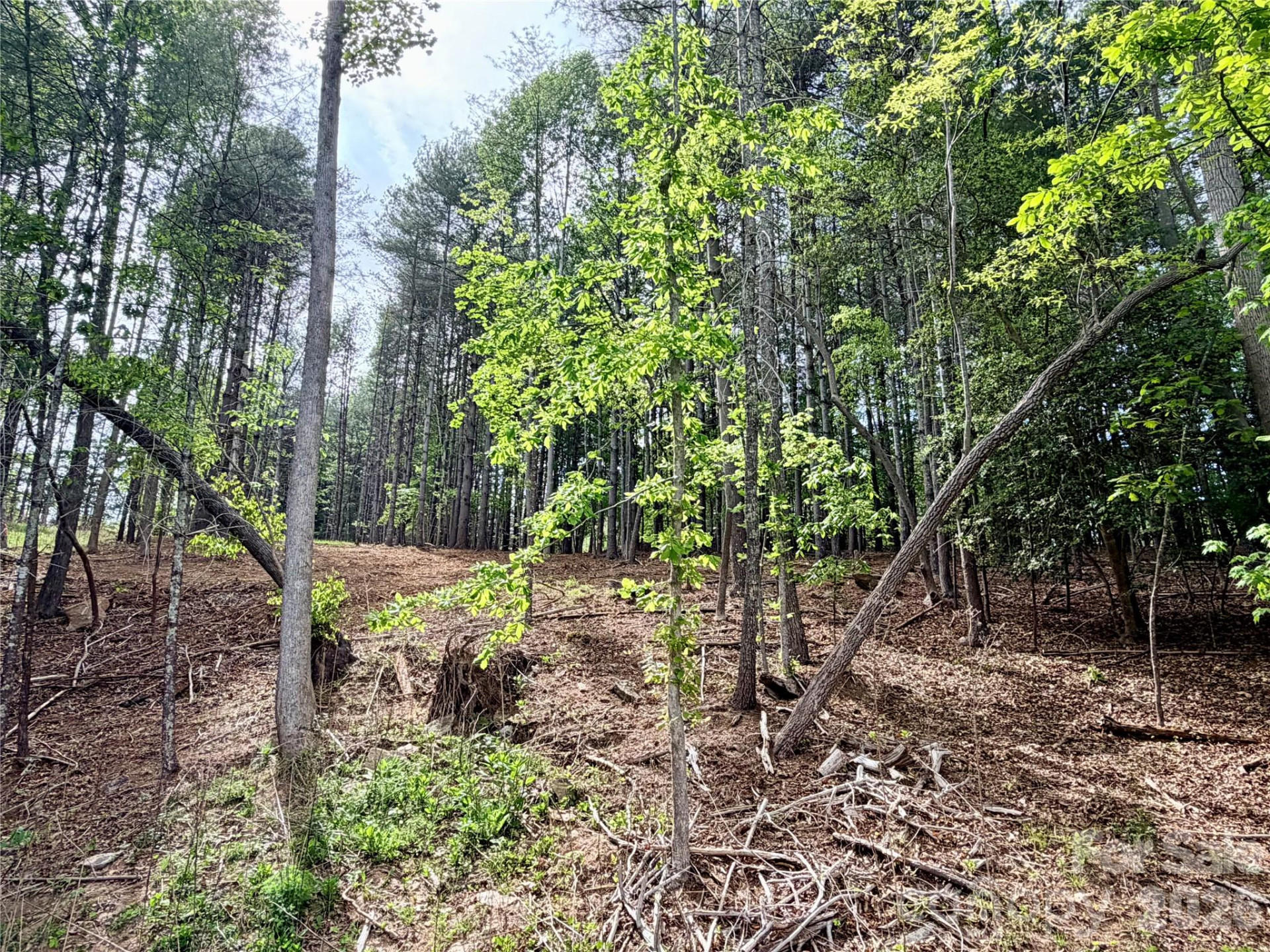 4981 Camellia Drive #228 - Photo 27