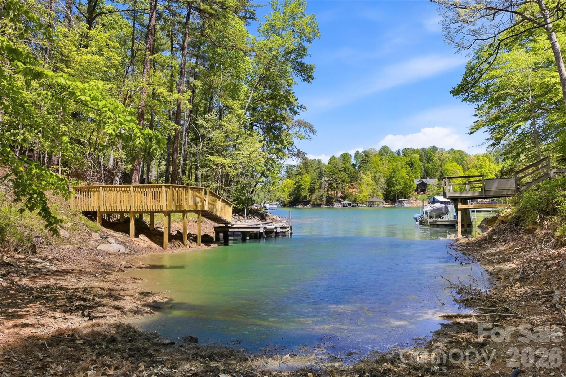 4981 Camellia Drive #228 - Photo 6