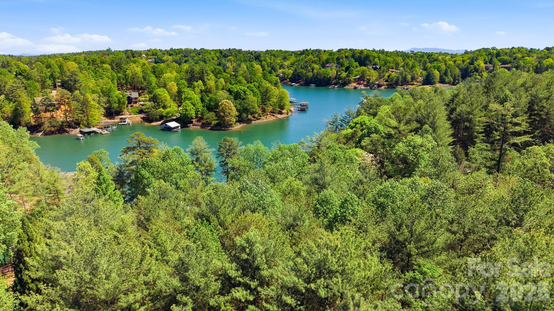 4981 Camellia Drive #228 - Photo 7