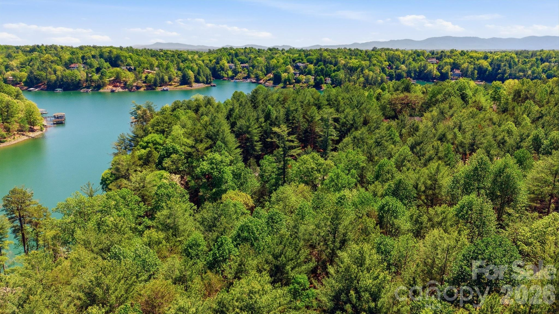 4981 Camellia Drive #228 - Photo 9