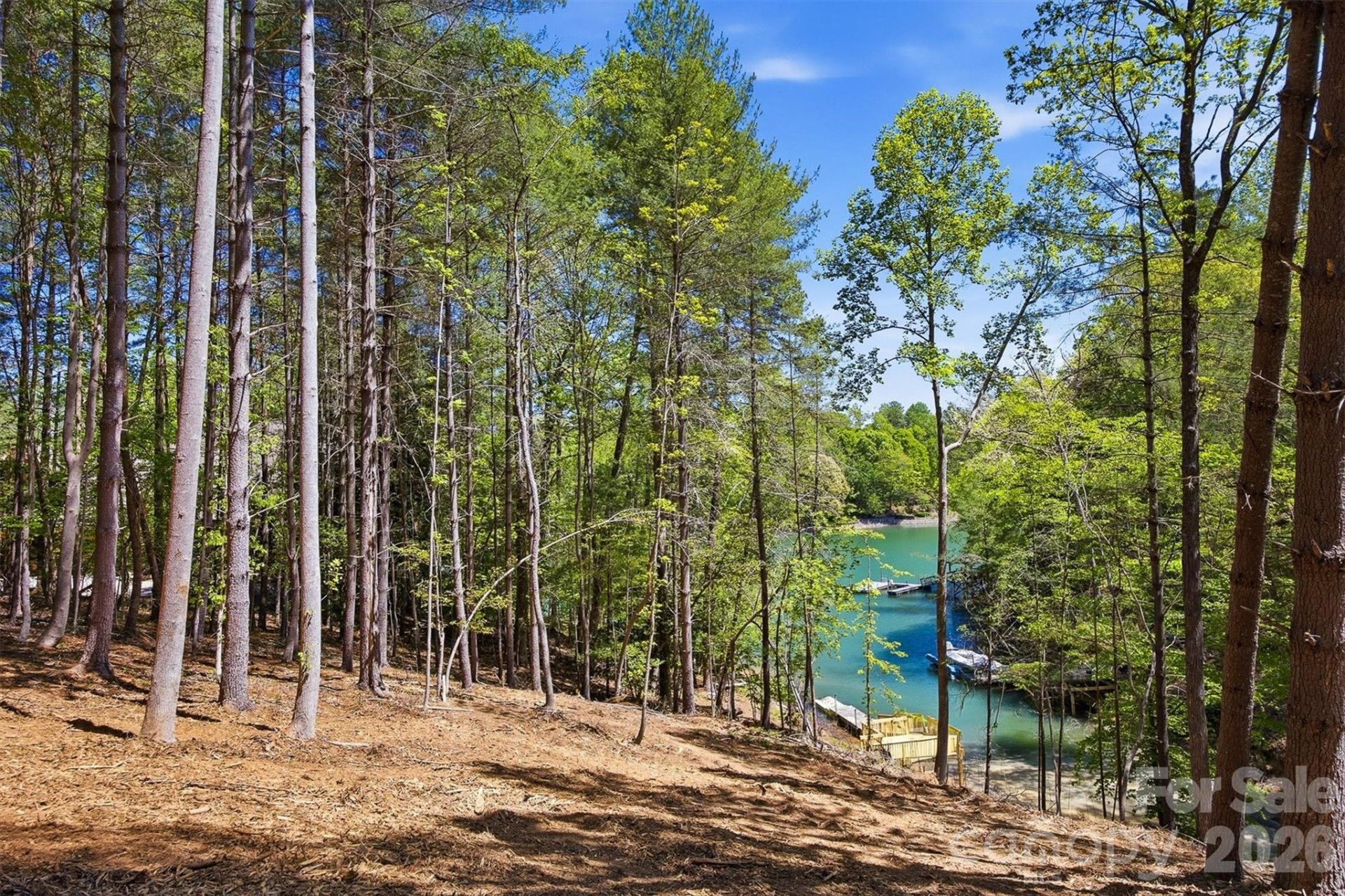 4981 Camellia Drive #228 - Photo 10