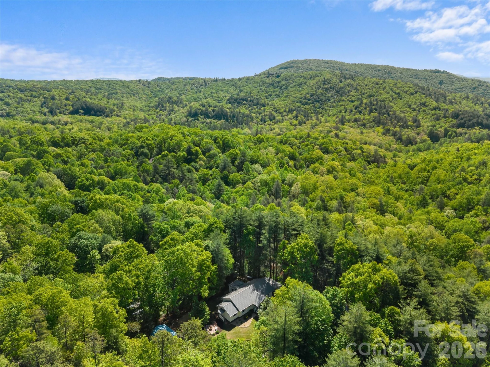 387 Crystal Creek Drive - Photo 7