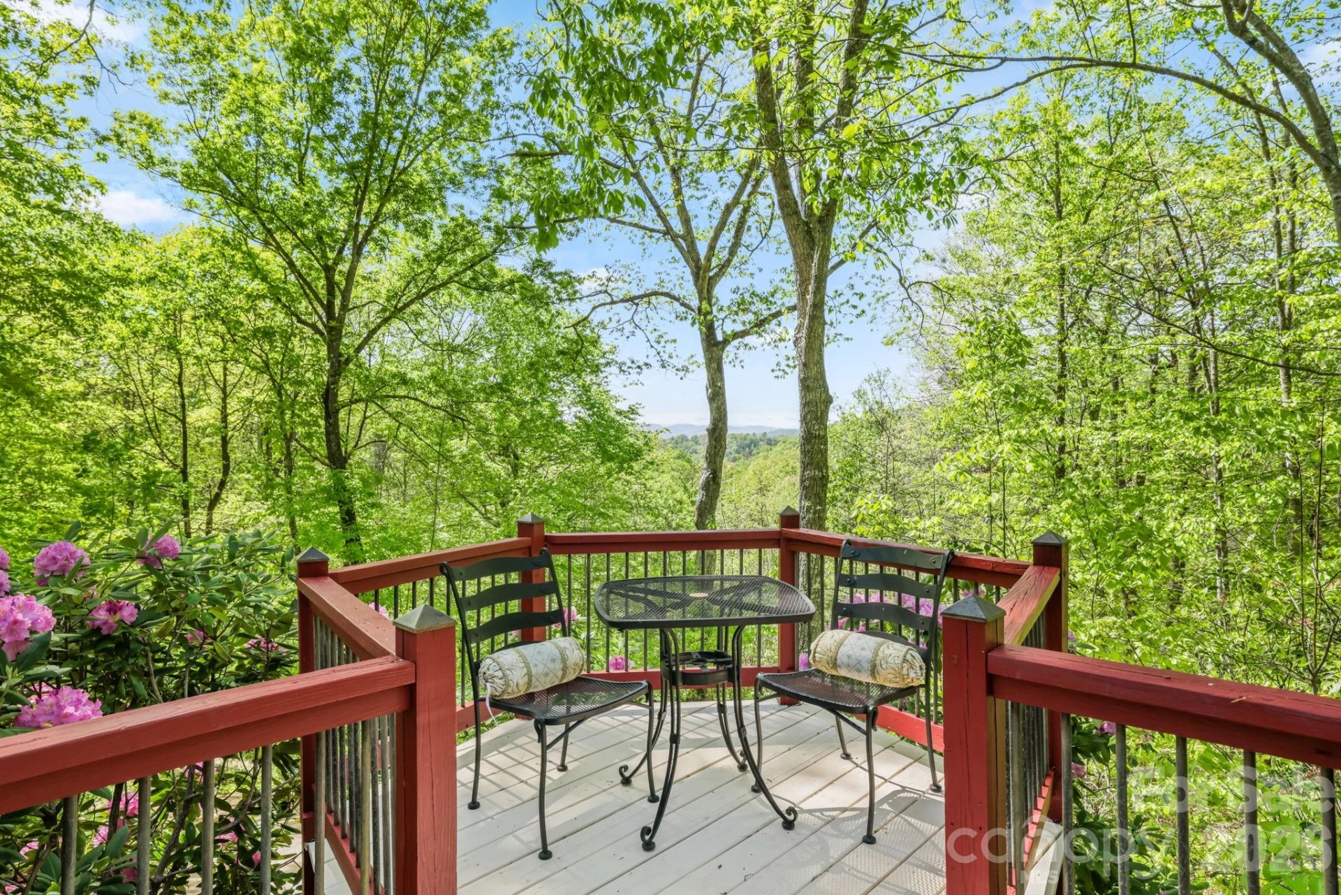 80 Corbin Hills Drive - Photo 28