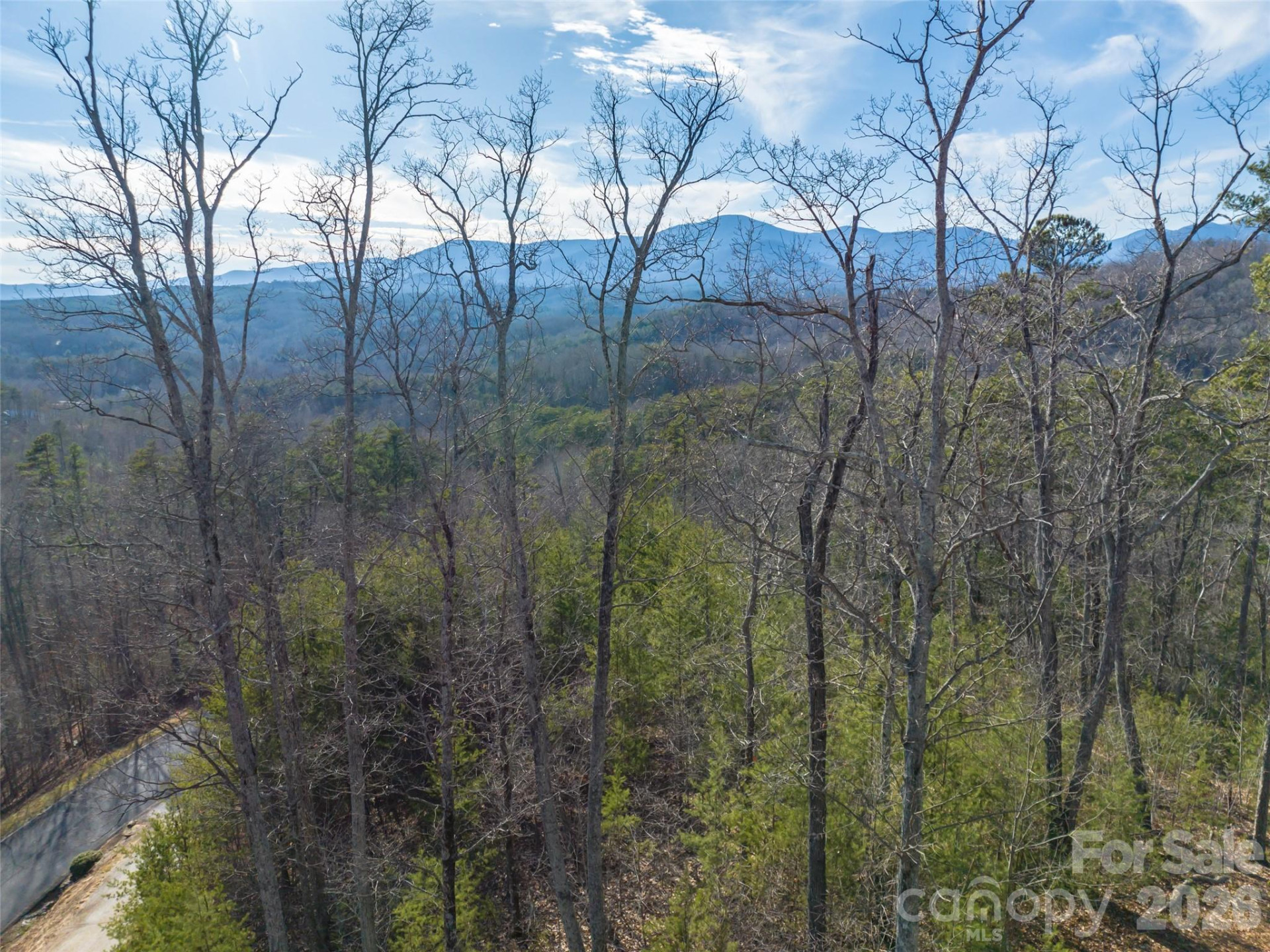 223 Rock Ledge Drive - Photo 11