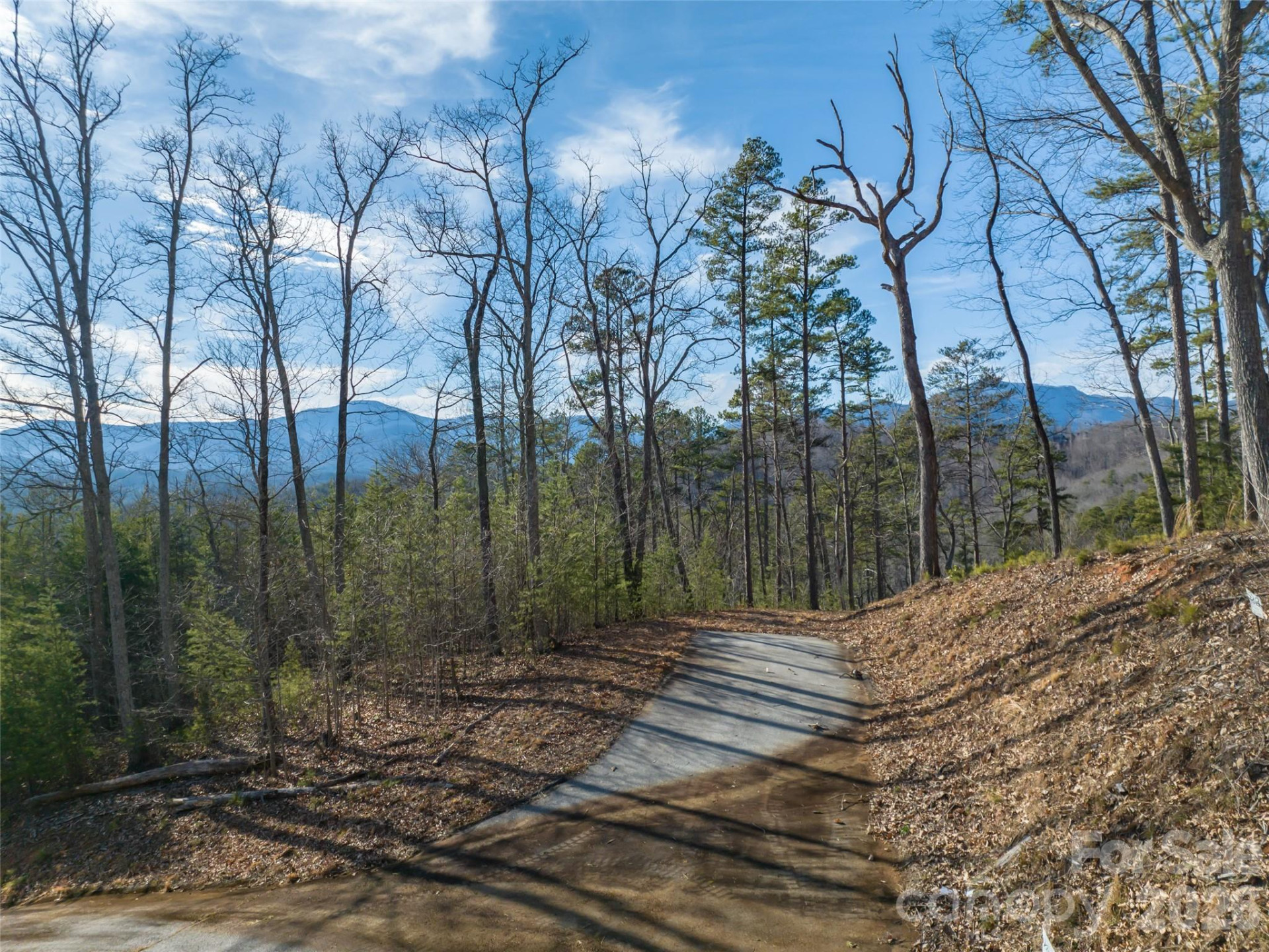 223 Rock Ledge Drive - Photo 13