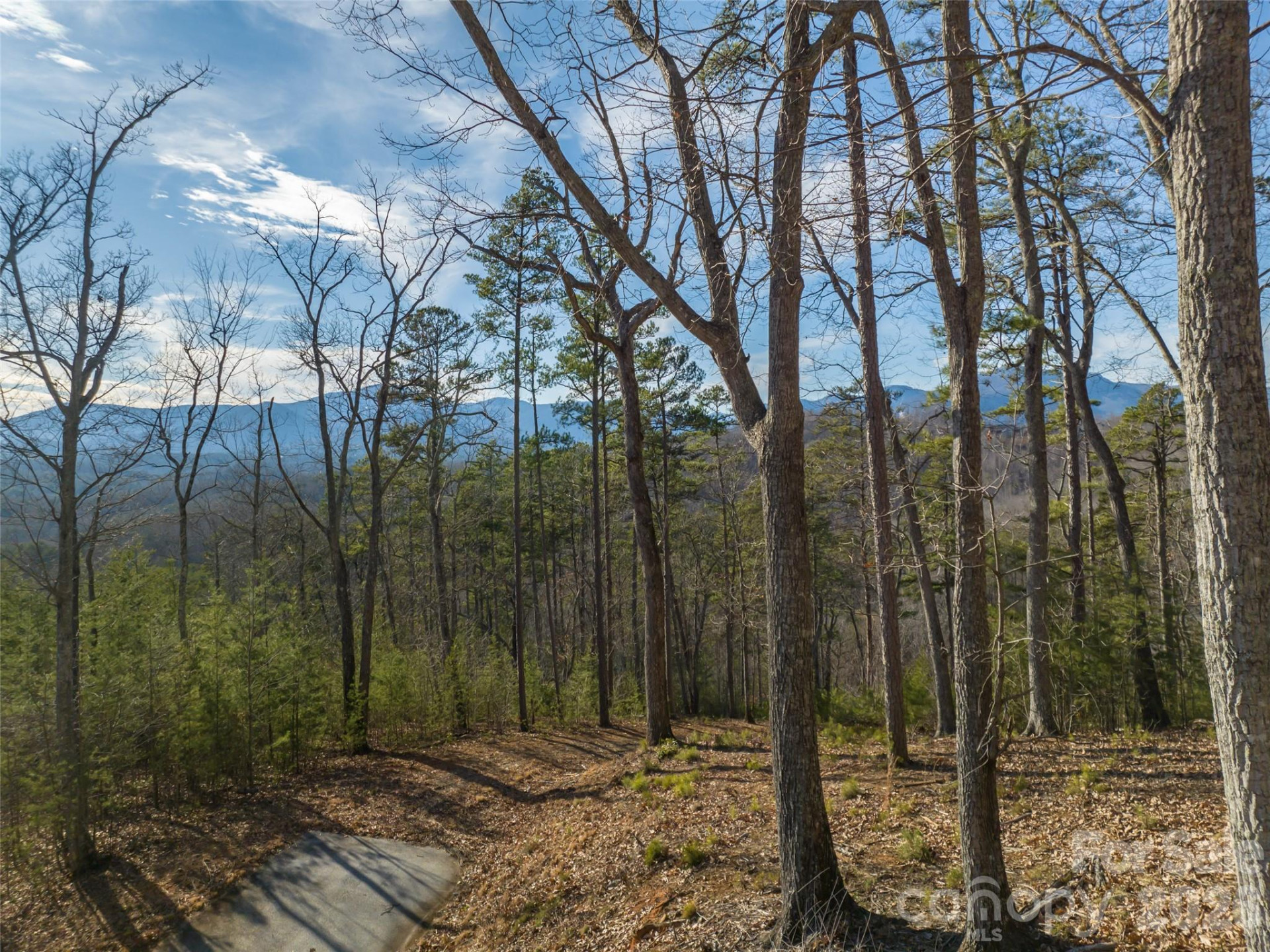 223 Rock Ledge Drive - Photo 16