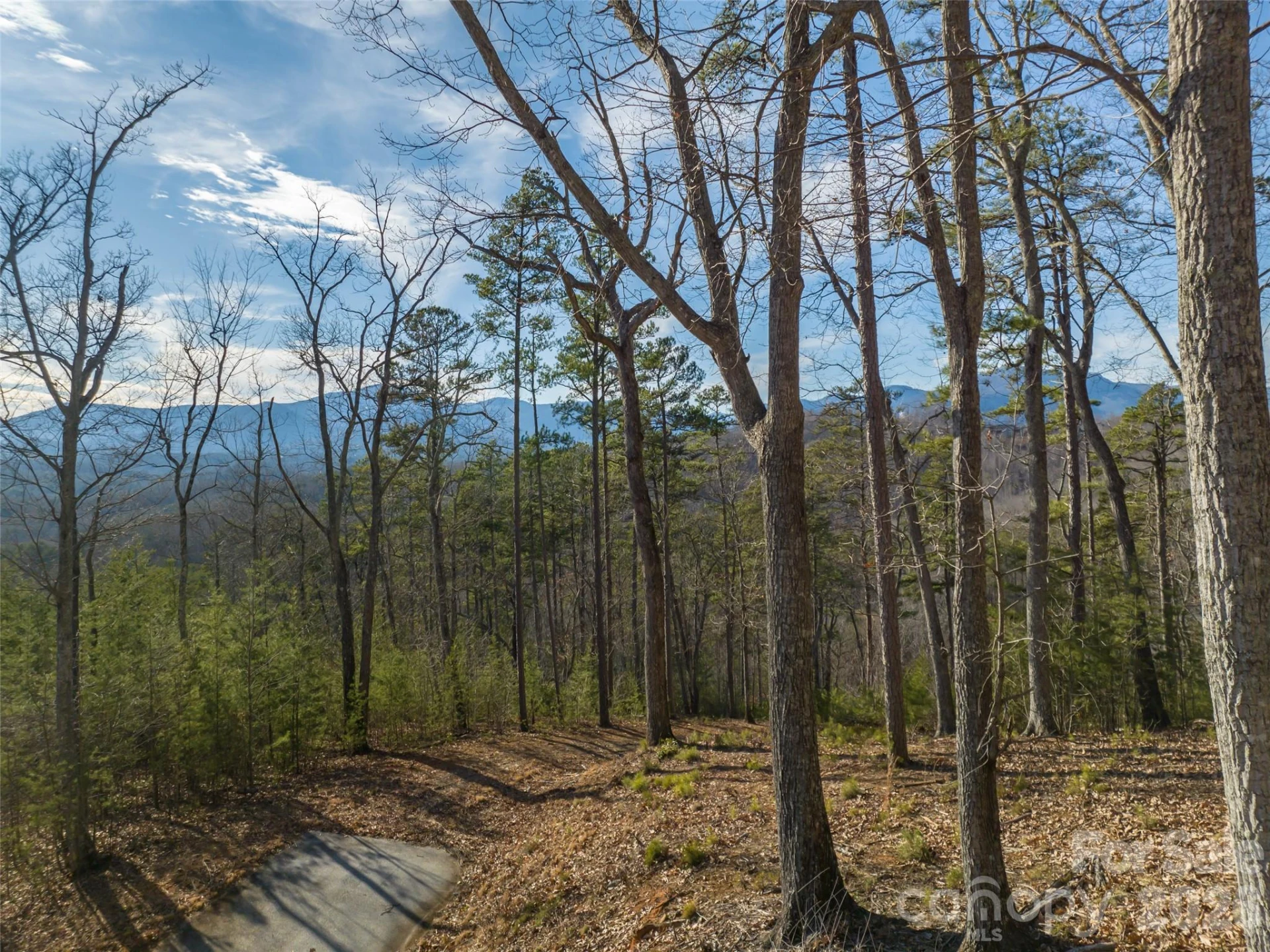 223 Rock Ledge Drive - Photo 16