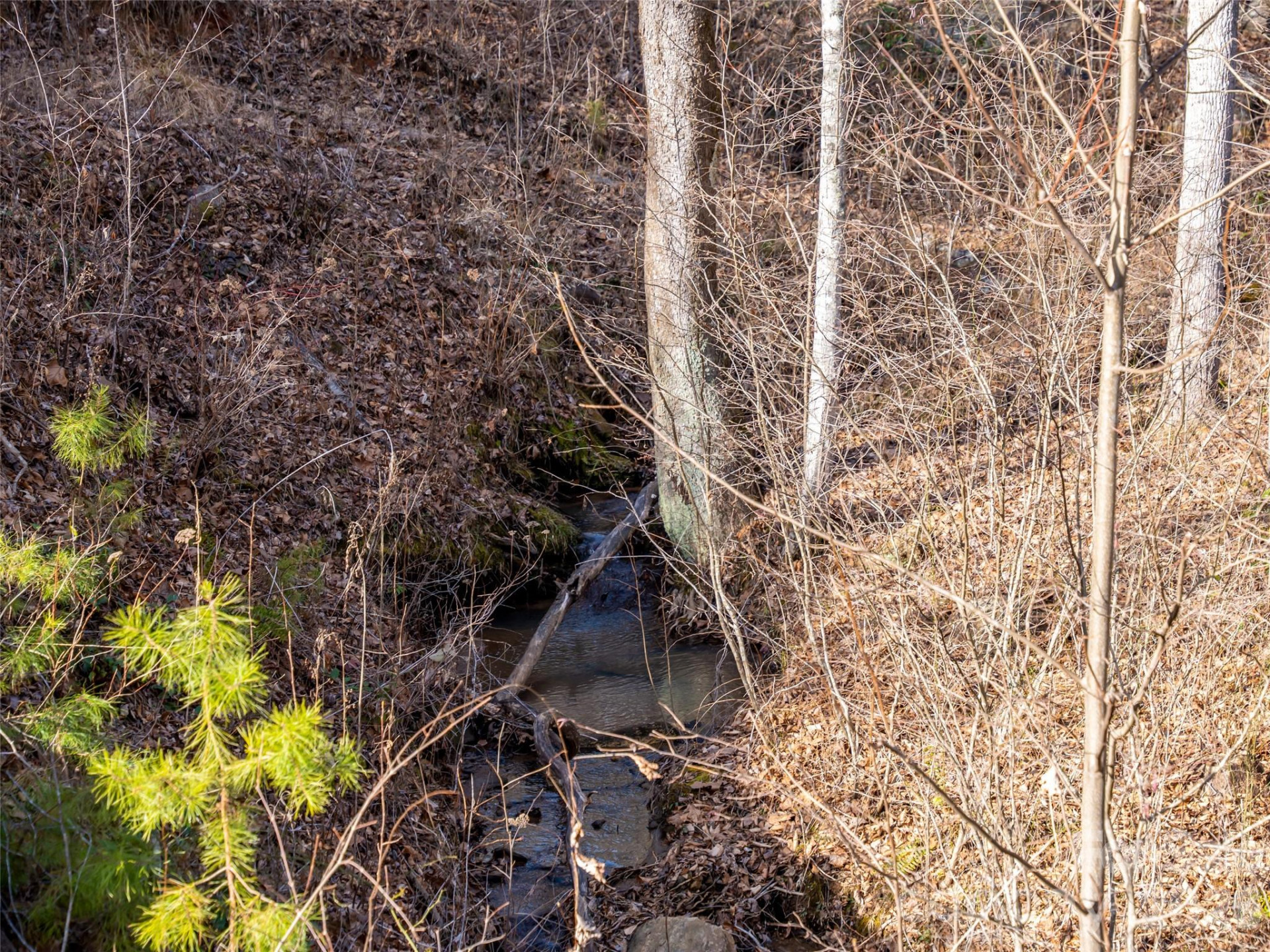 223 Rock Ledge Drive - Photo 34