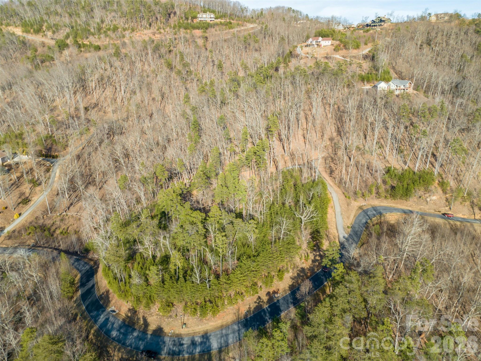 223 Rock Ledge Drive - Photo 9