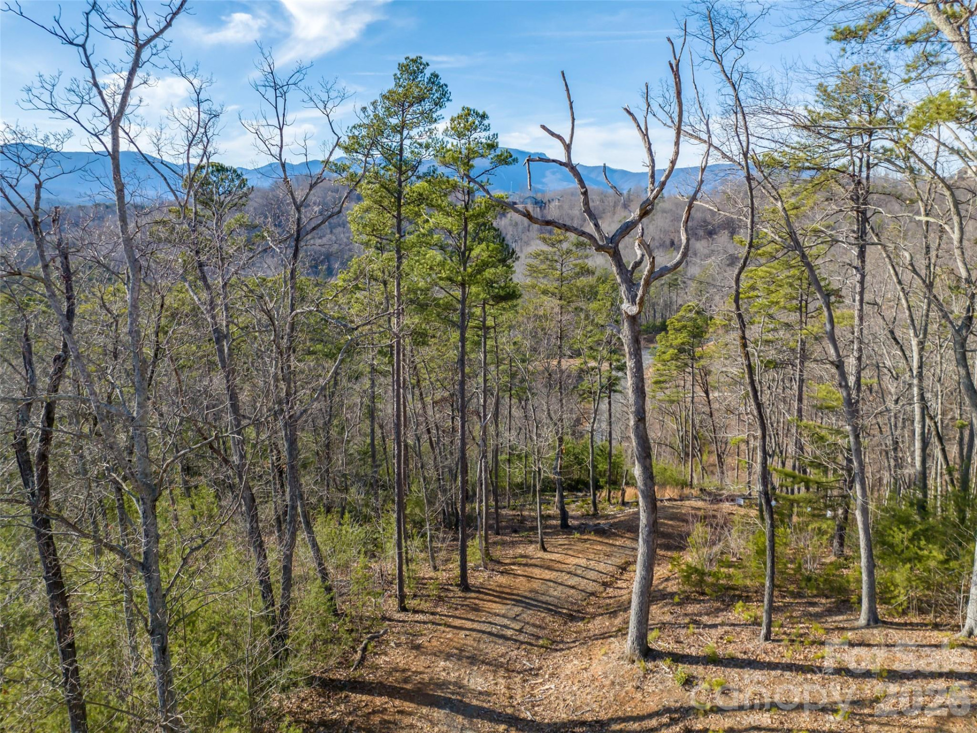 223 Rock Ledge Drive - Photo 10