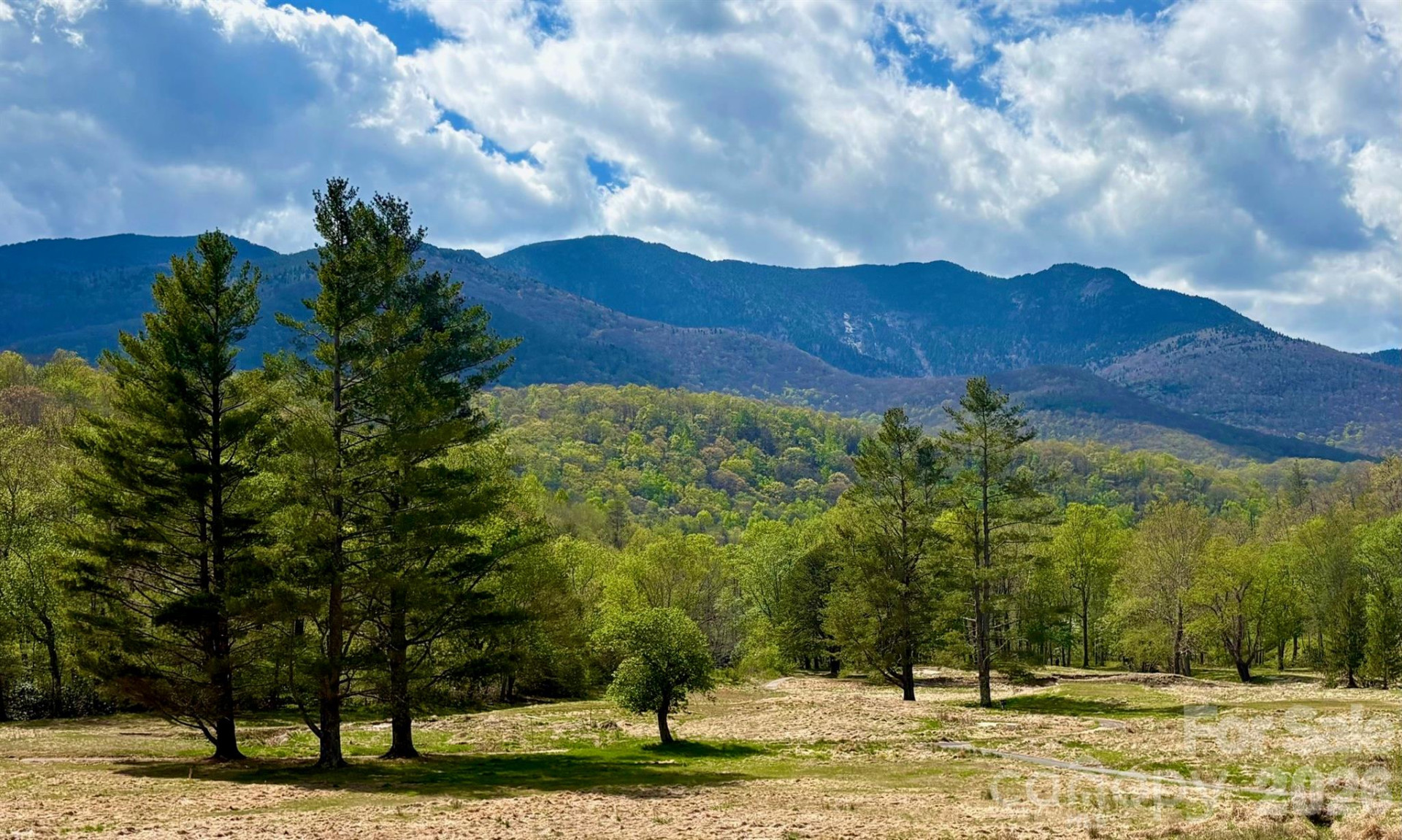 11014 State Hwy 80 S Highway #2-C - Photo 2