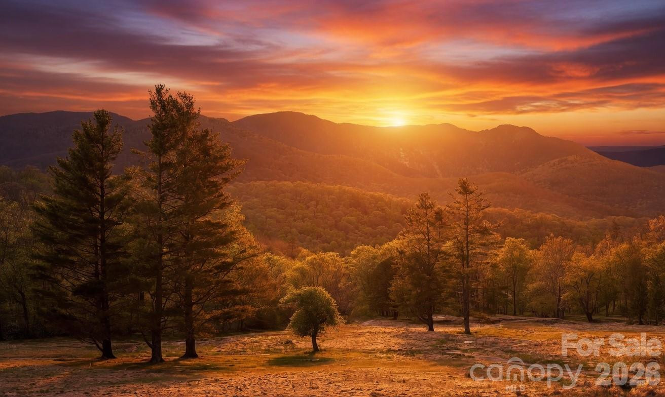 11014 State Hwy 80 S Highway #2-C - Photo 15