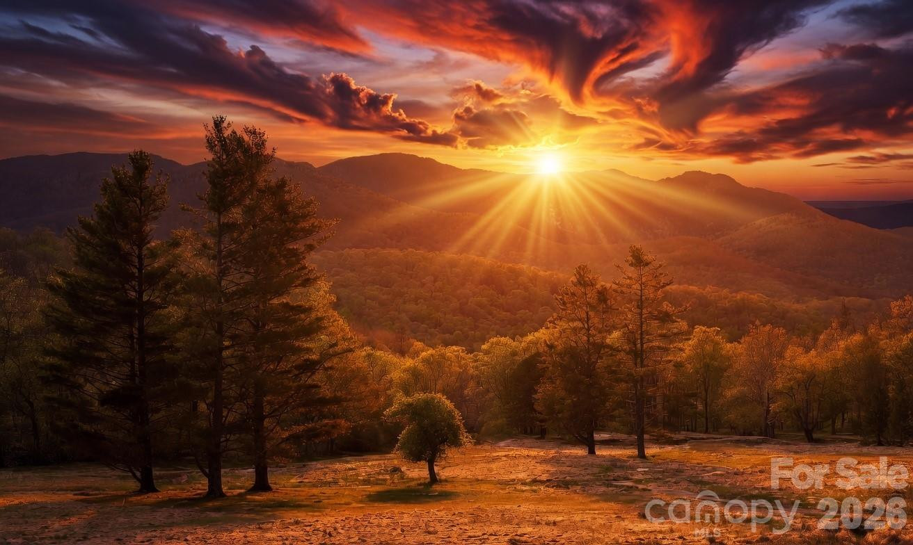 11014 State Hwy 80 S Highway #2-C - Photo 29