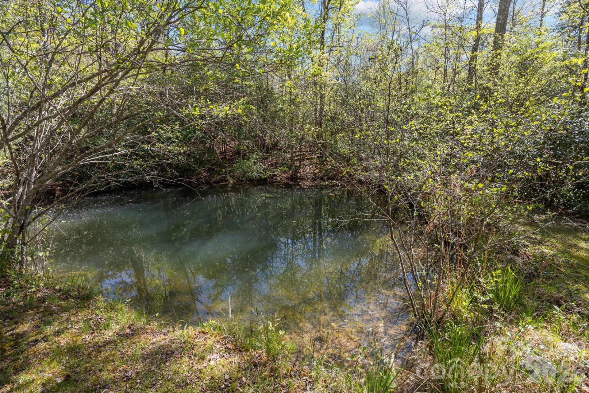 78 Bird Creek Estates Road - Photo 2