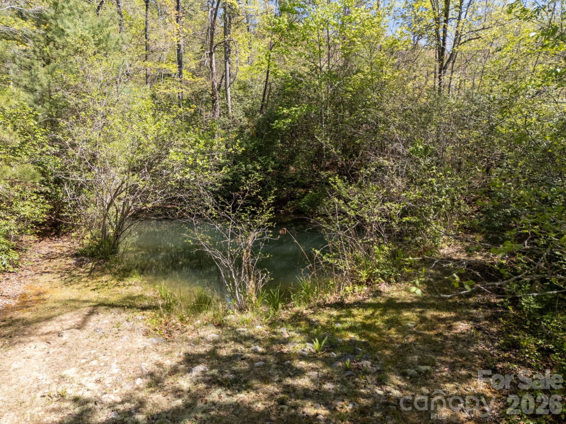 78 Bird Creek Estates Road - Photo 31