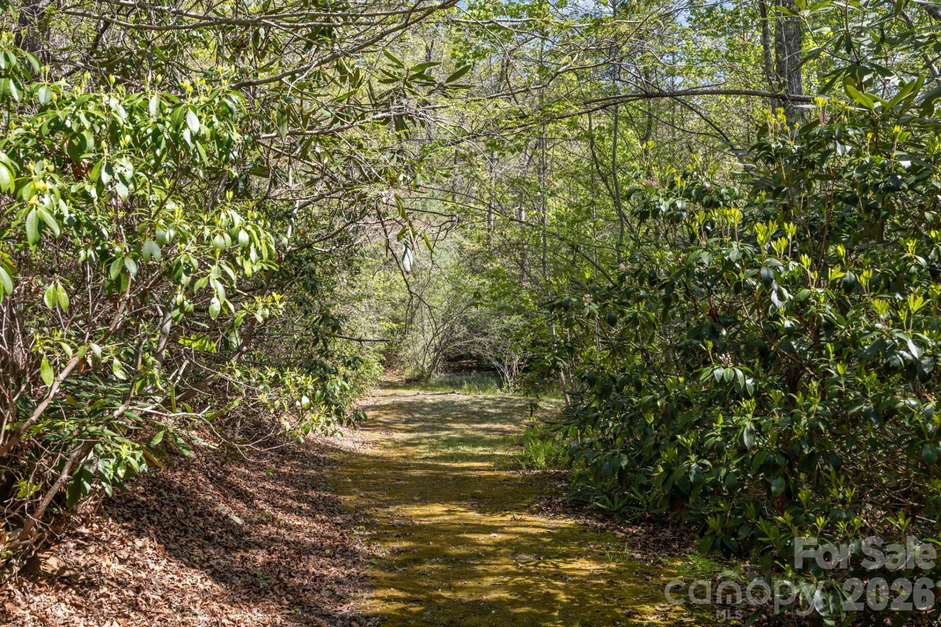 78 Bird Creek Estates Road - Photo 43