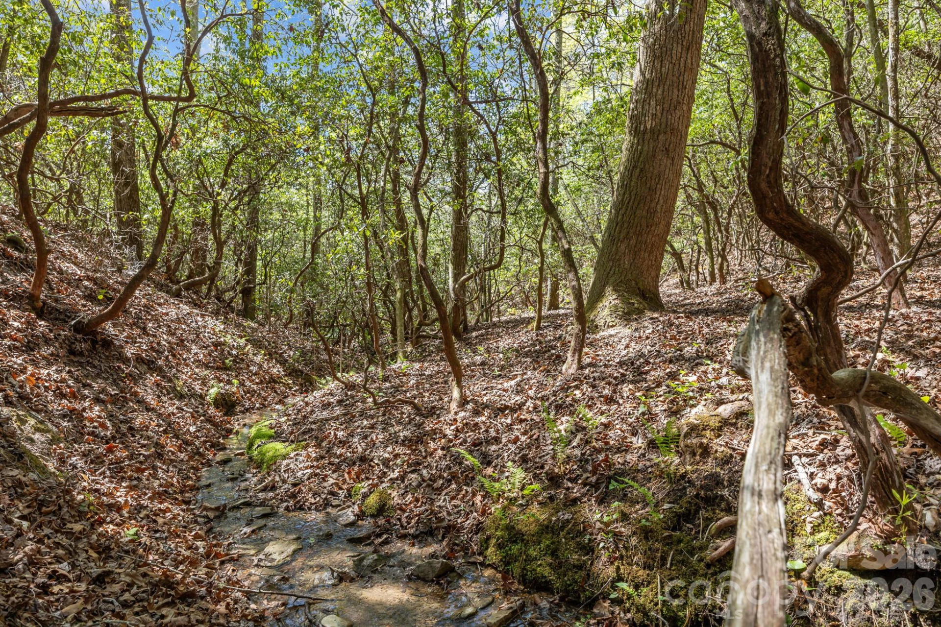 78 Bird Creek Estates Road - Photo 44