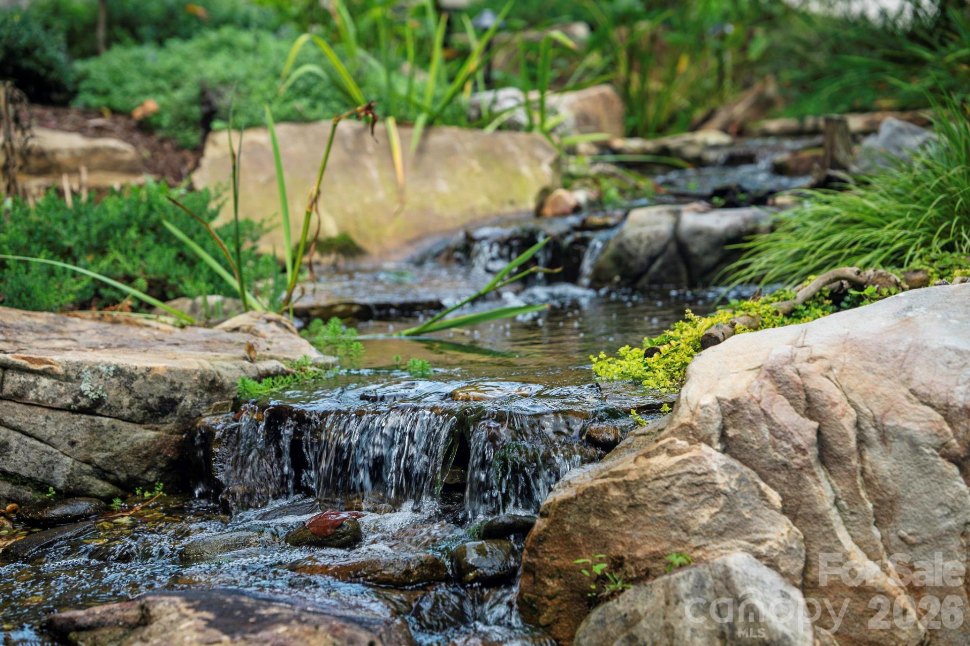 54 Mountain Drive - Photo 36