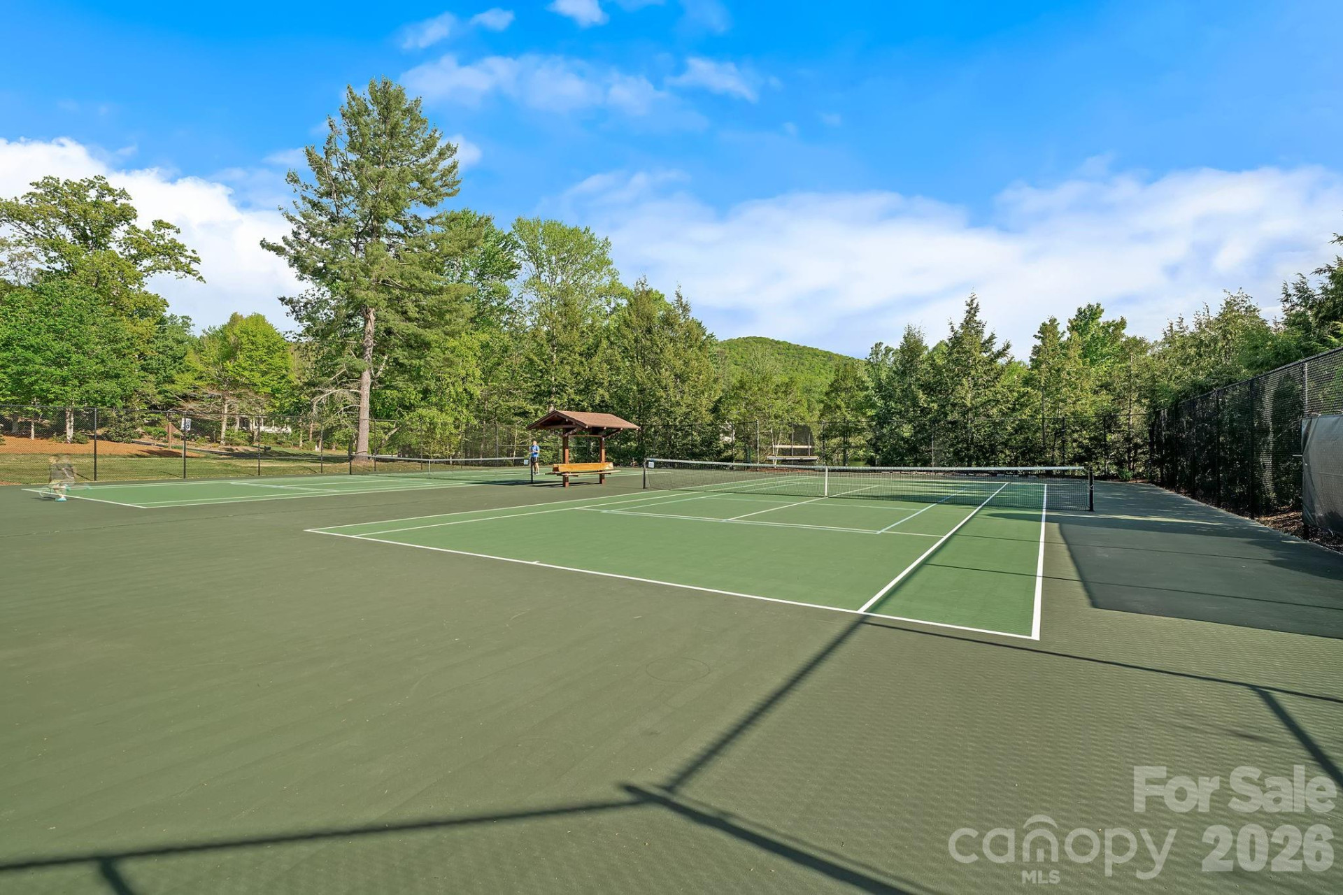 54 Mountain Drive - Photo 45