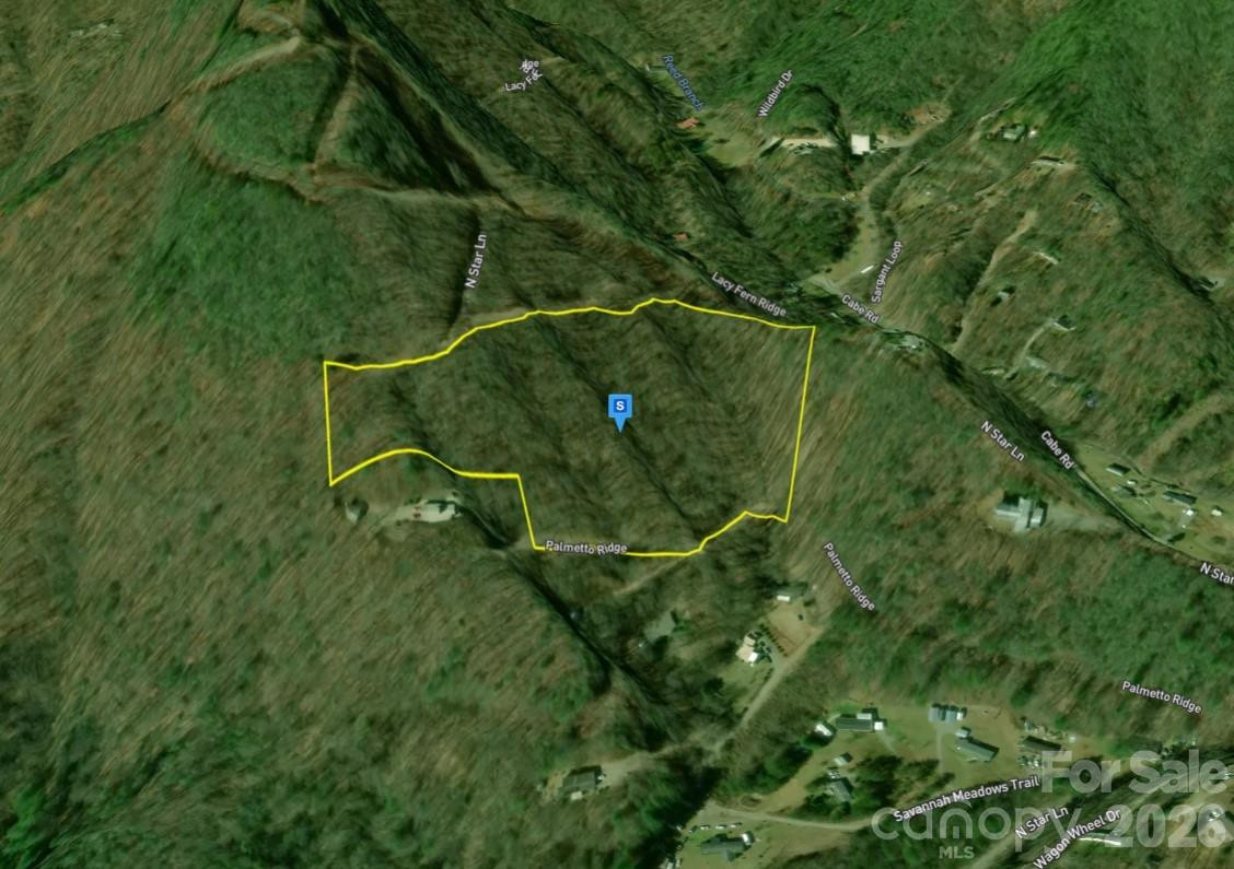 450 Palmetto Ridge - Photo 2