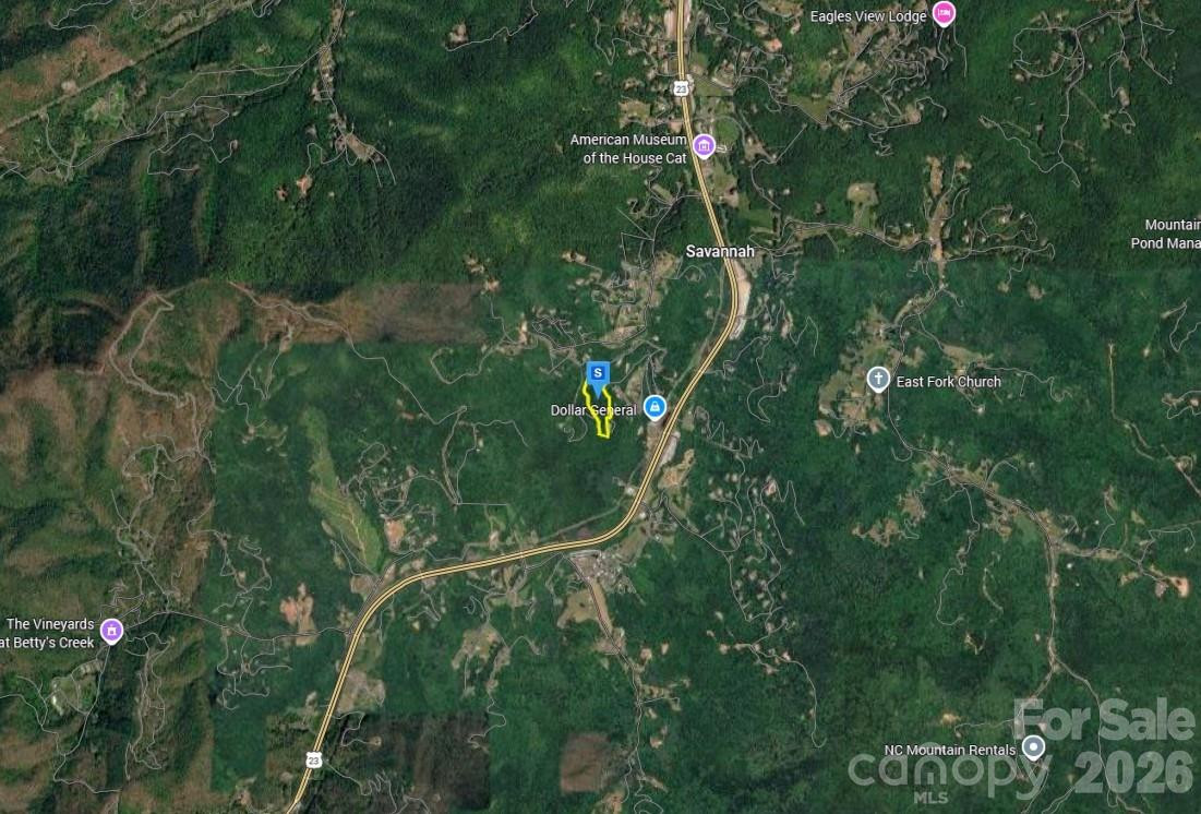 450 Palmetto Ridge - Photo 3