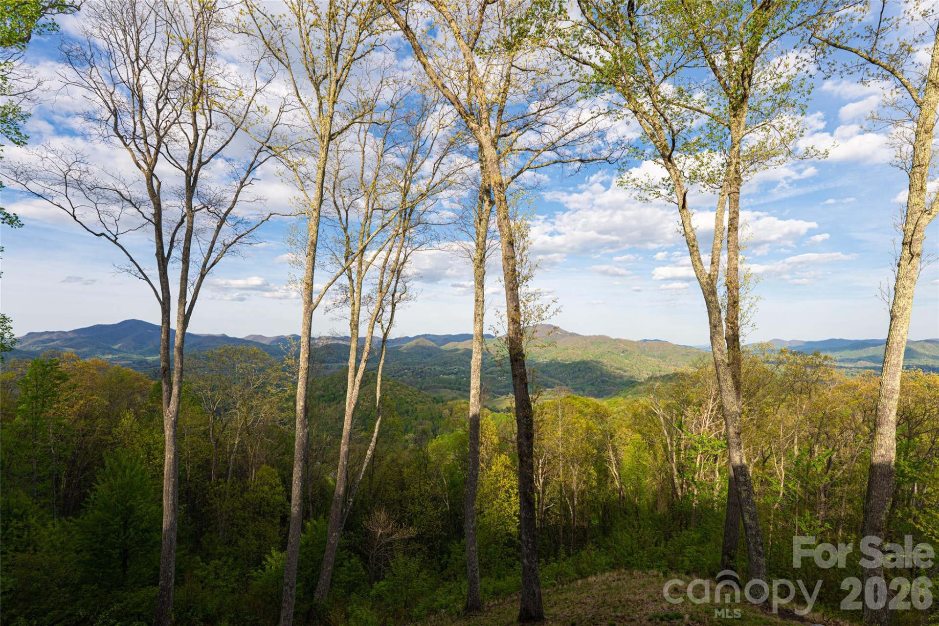 366 Signature Row Boulevard - Photo 13