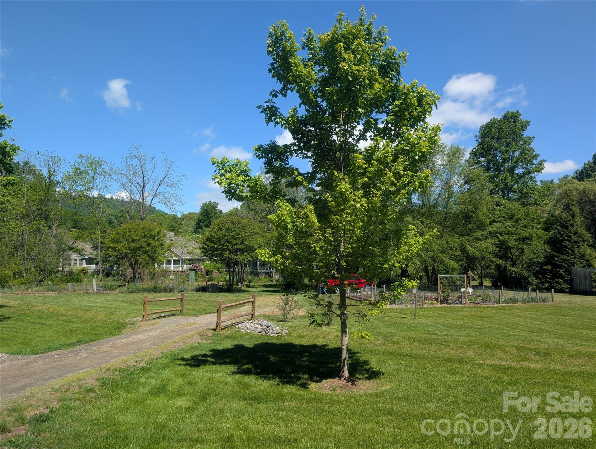 201 Timber Drive - Photo 6