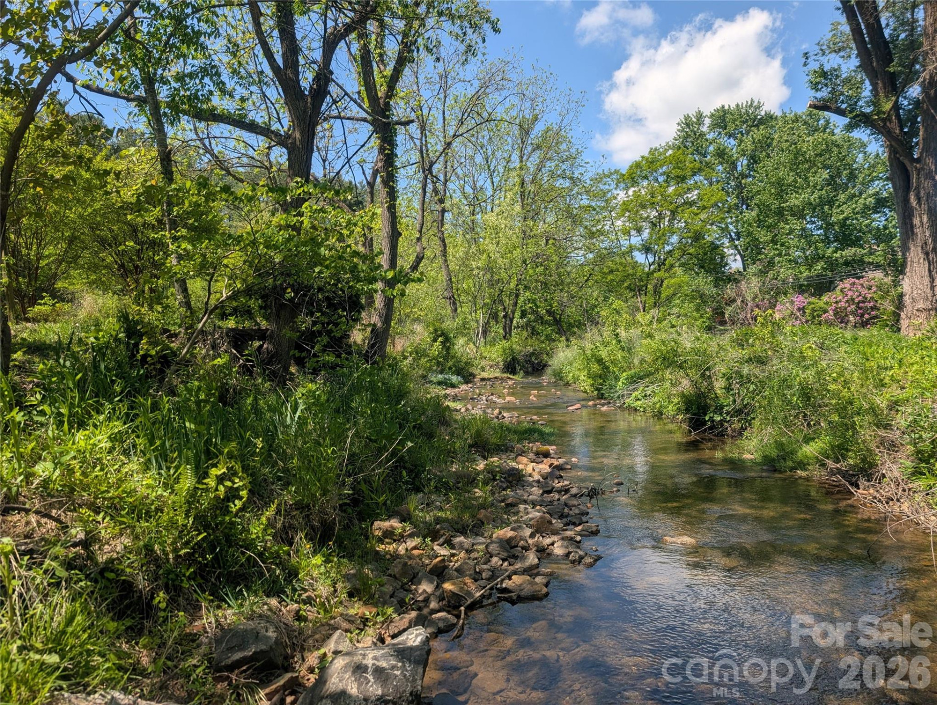 201 Timber Drive - Photo 7