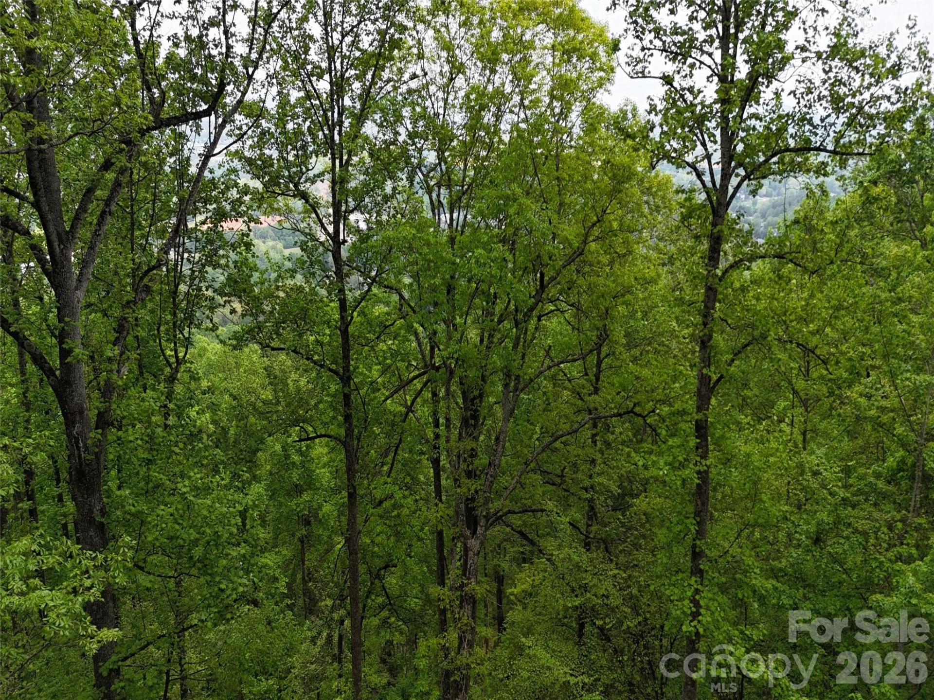 Lot #39 Poplar Drive - Photo 19