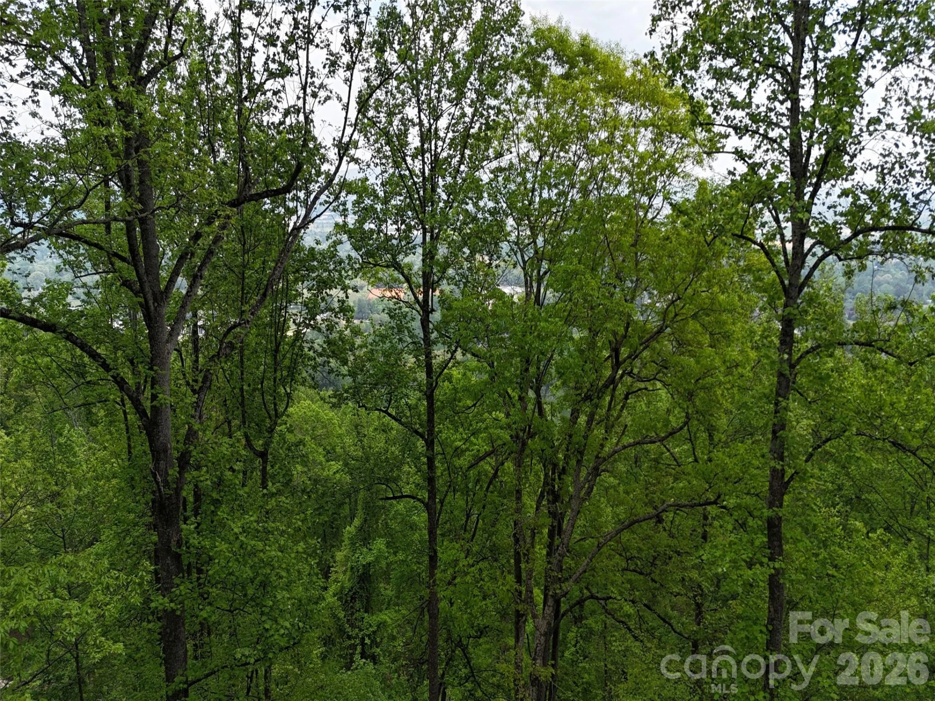 Lot #39 Poplar Drive - Photo 21