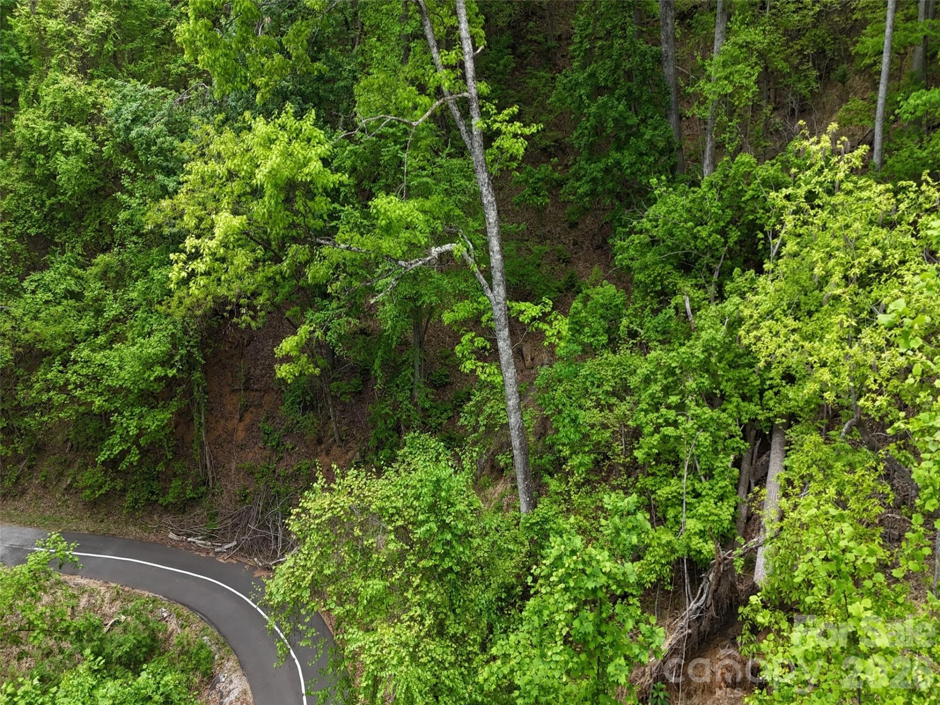 Lot #39 Poplar Drive - Photo 23