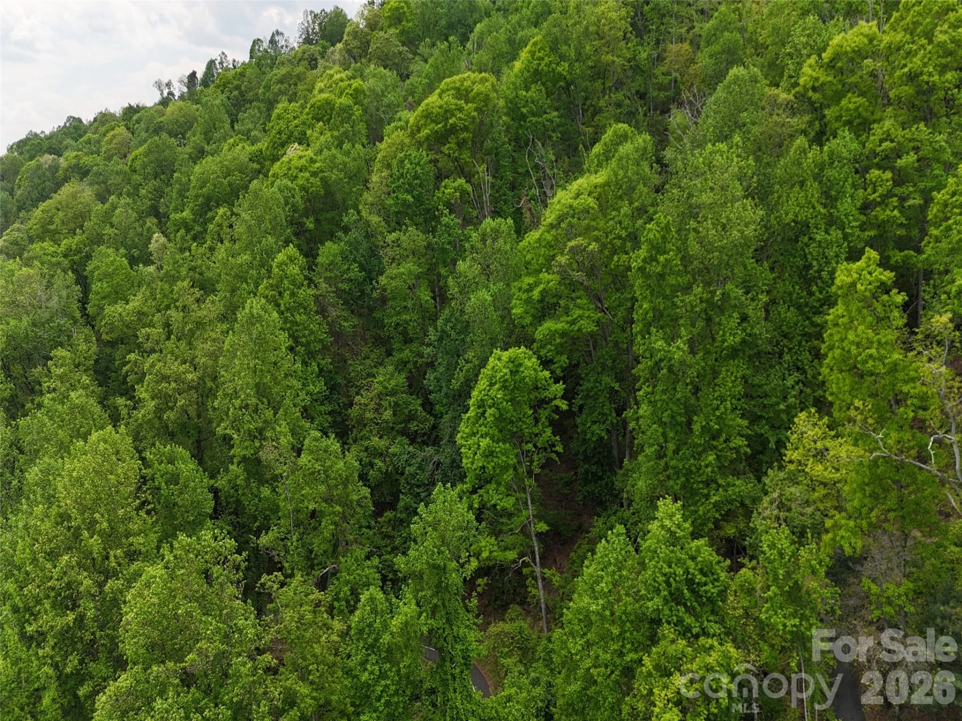 Lot #39 Poplar Drive - Photo 24