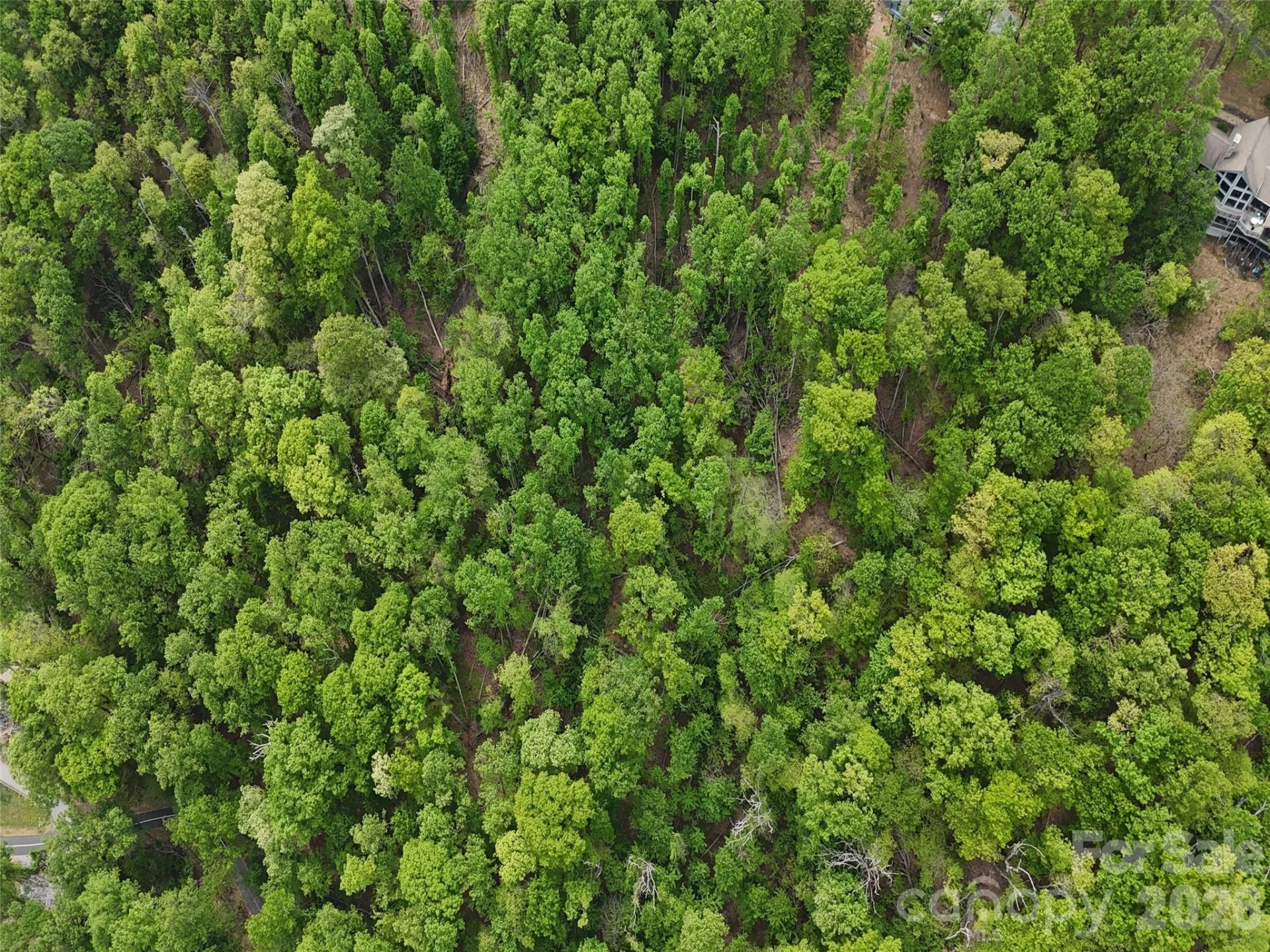 Lot #39 Poplar Drive - Photo 11