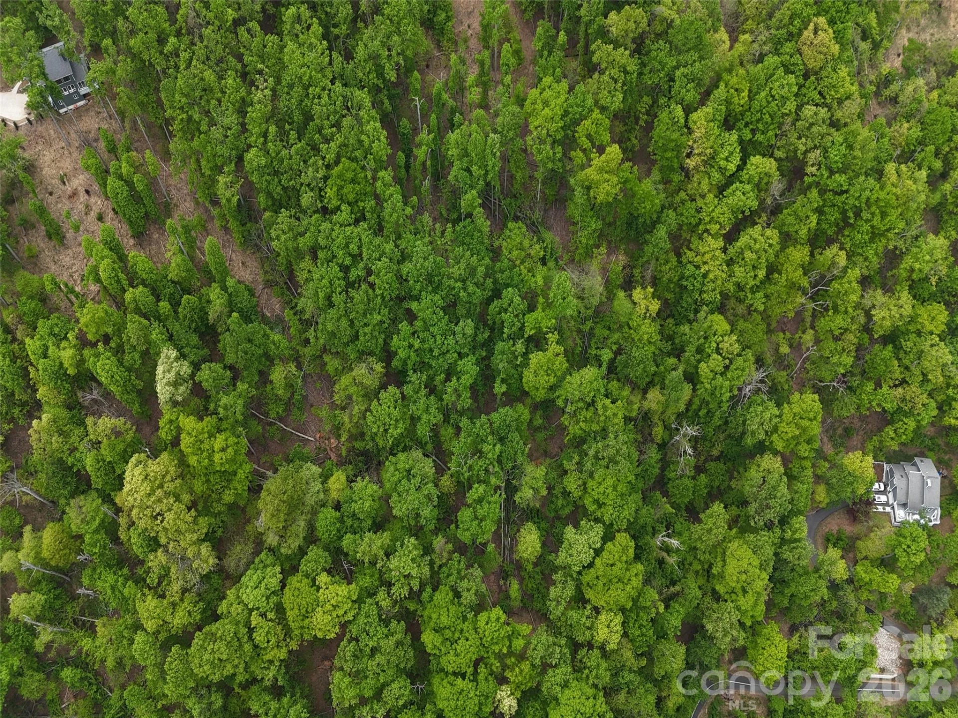 Lot #39 Poplar Drive - Photo 13