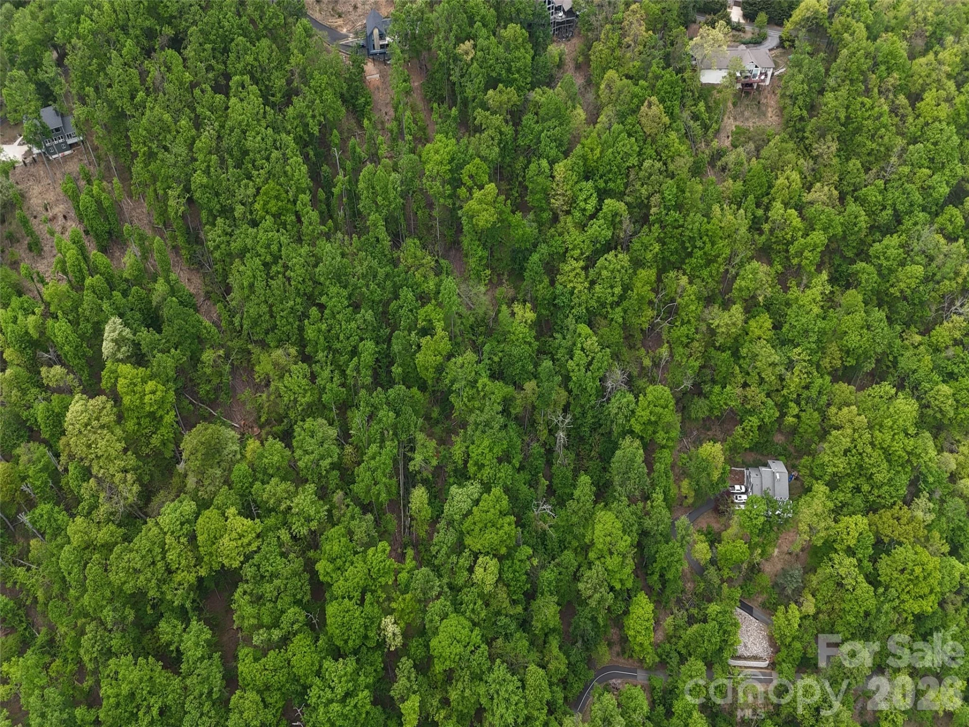 Lot #39 Poplar Drive - Photo 15
