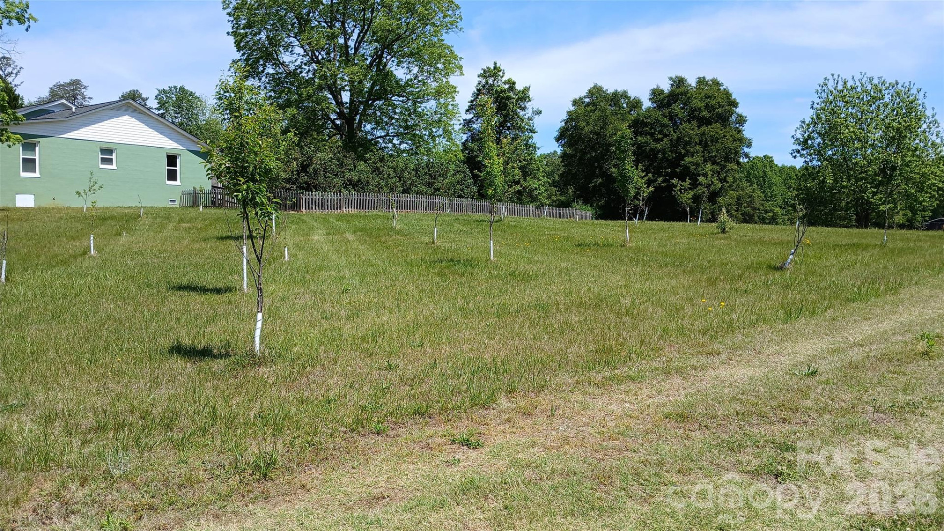 300 Woodlawn Drive - Photo 3