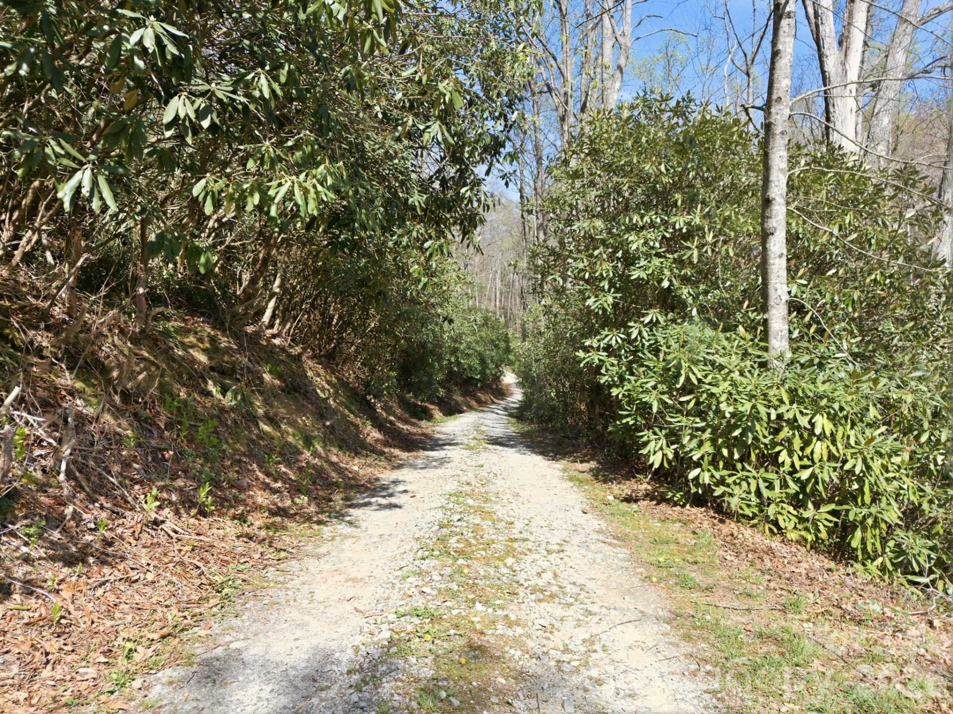 00 Lazy Bear Trail #35 & 36 - Photo 11