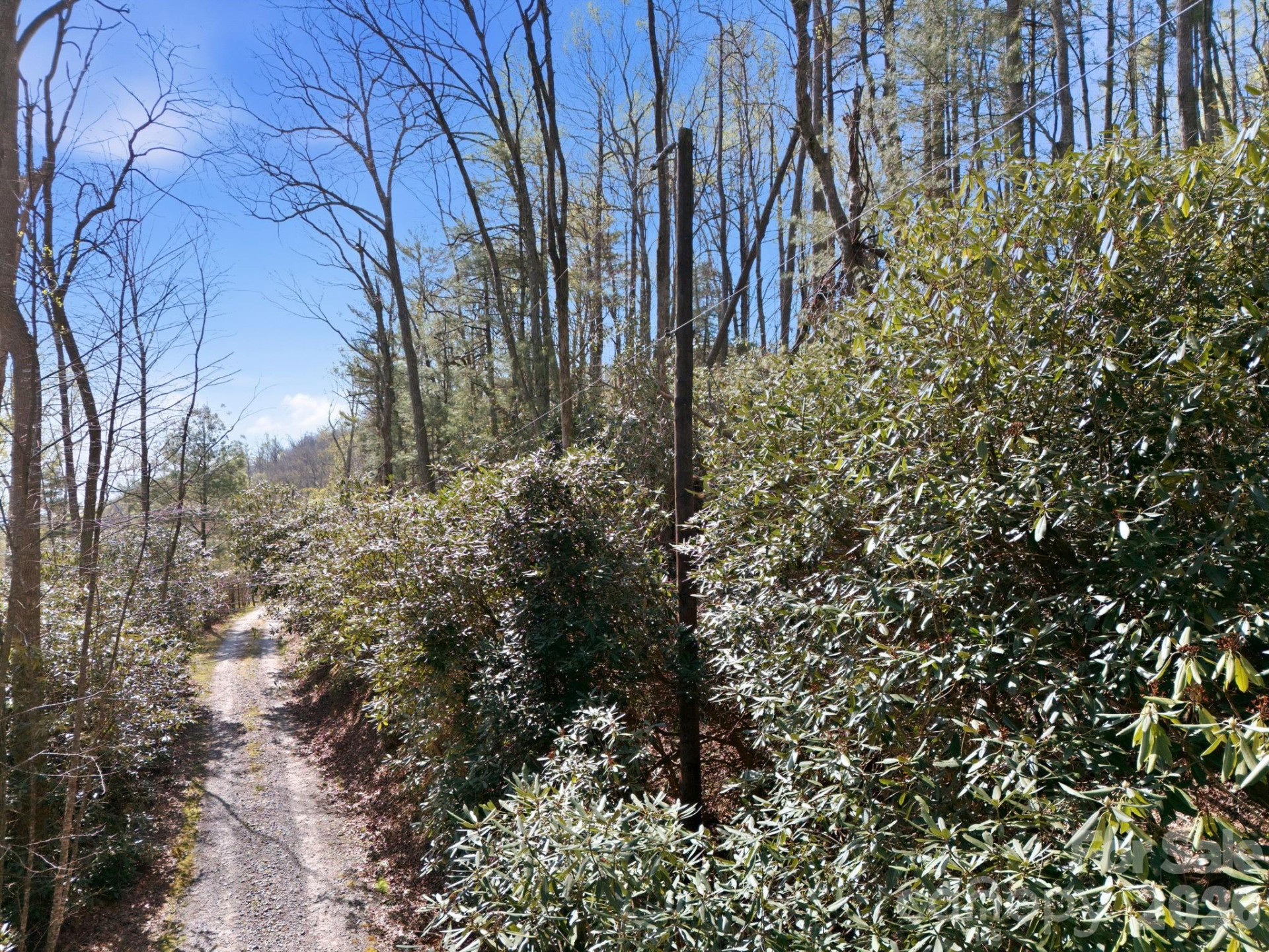 00 Lazy Bear Trail #35 & 36 - Photo 12