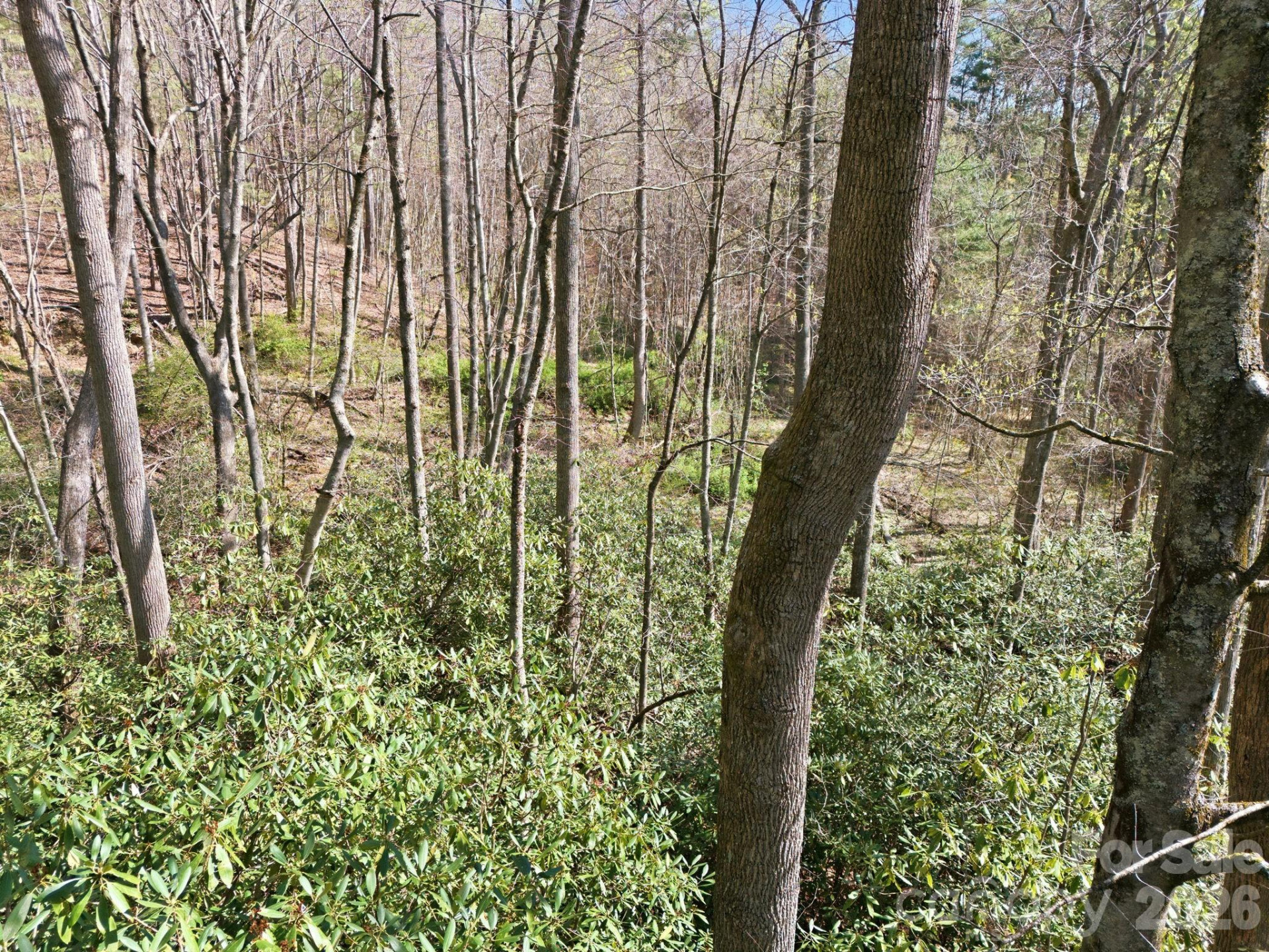 00 Lazy Bear Trail #35 & 36 - Photo 13