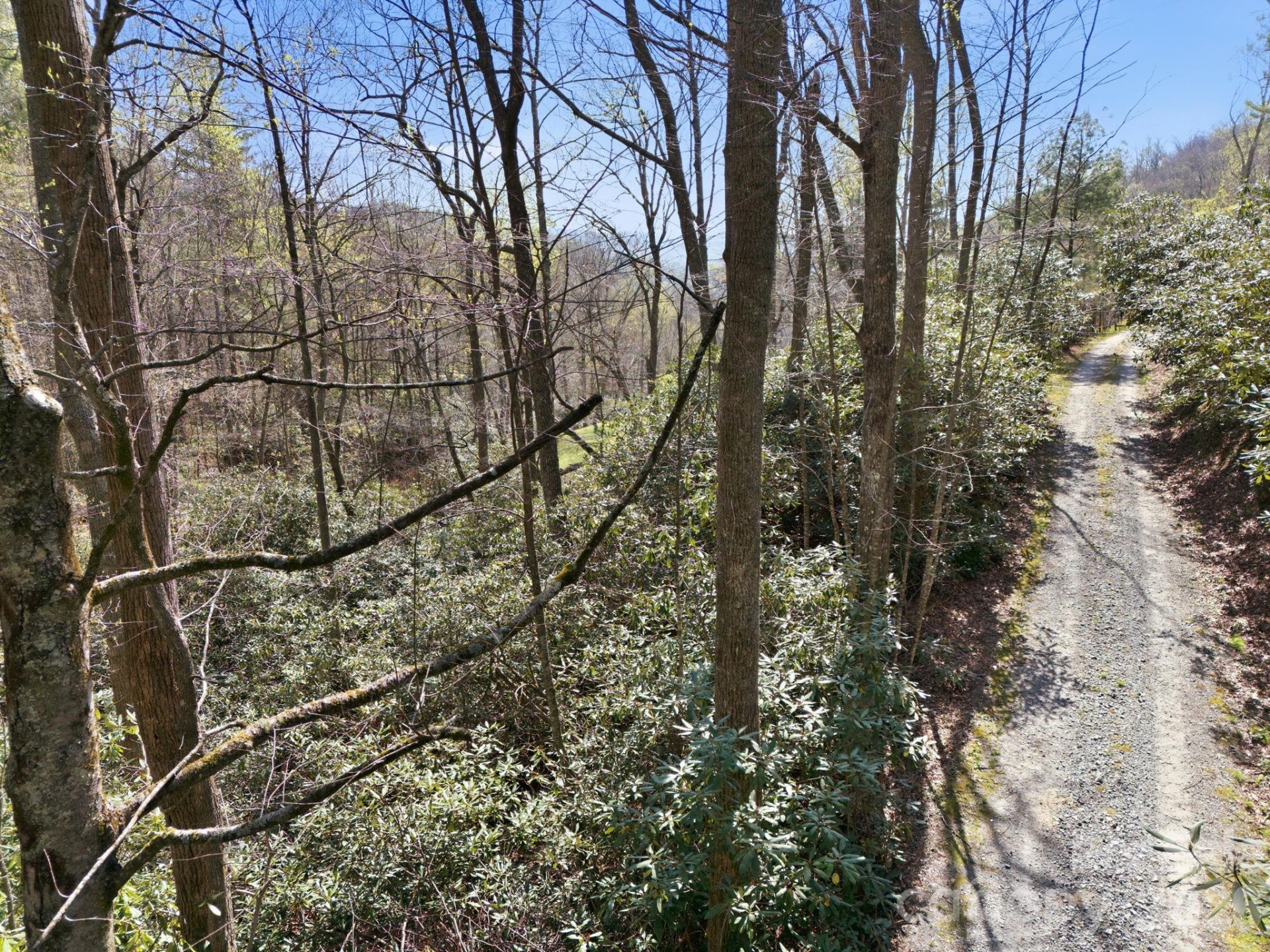 00 Lazy Bear Trail #35 & 36 - Photo 14