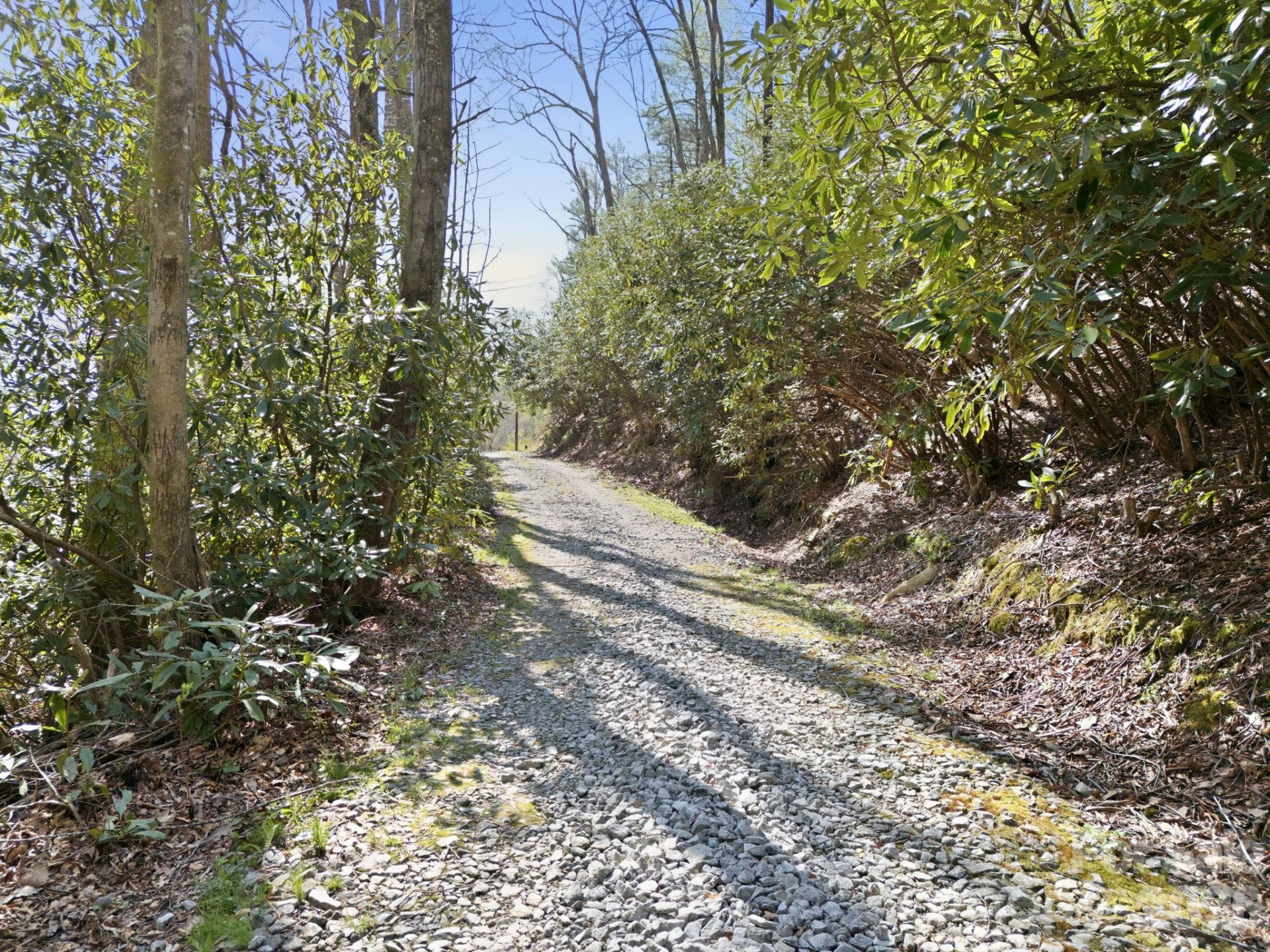 00 Lazy Bear Trail #35 & 36 - Photo 15